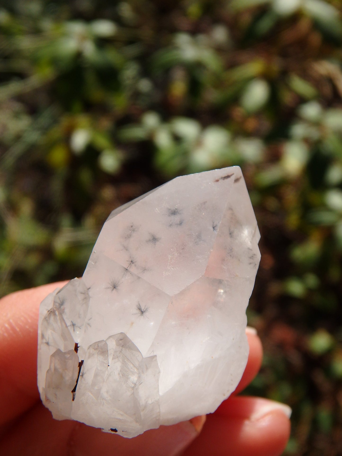 Natural Starbursts Rare Star Hollandite Dainty Elestial Collectors Point From Madagascar - Earth Family Crystals