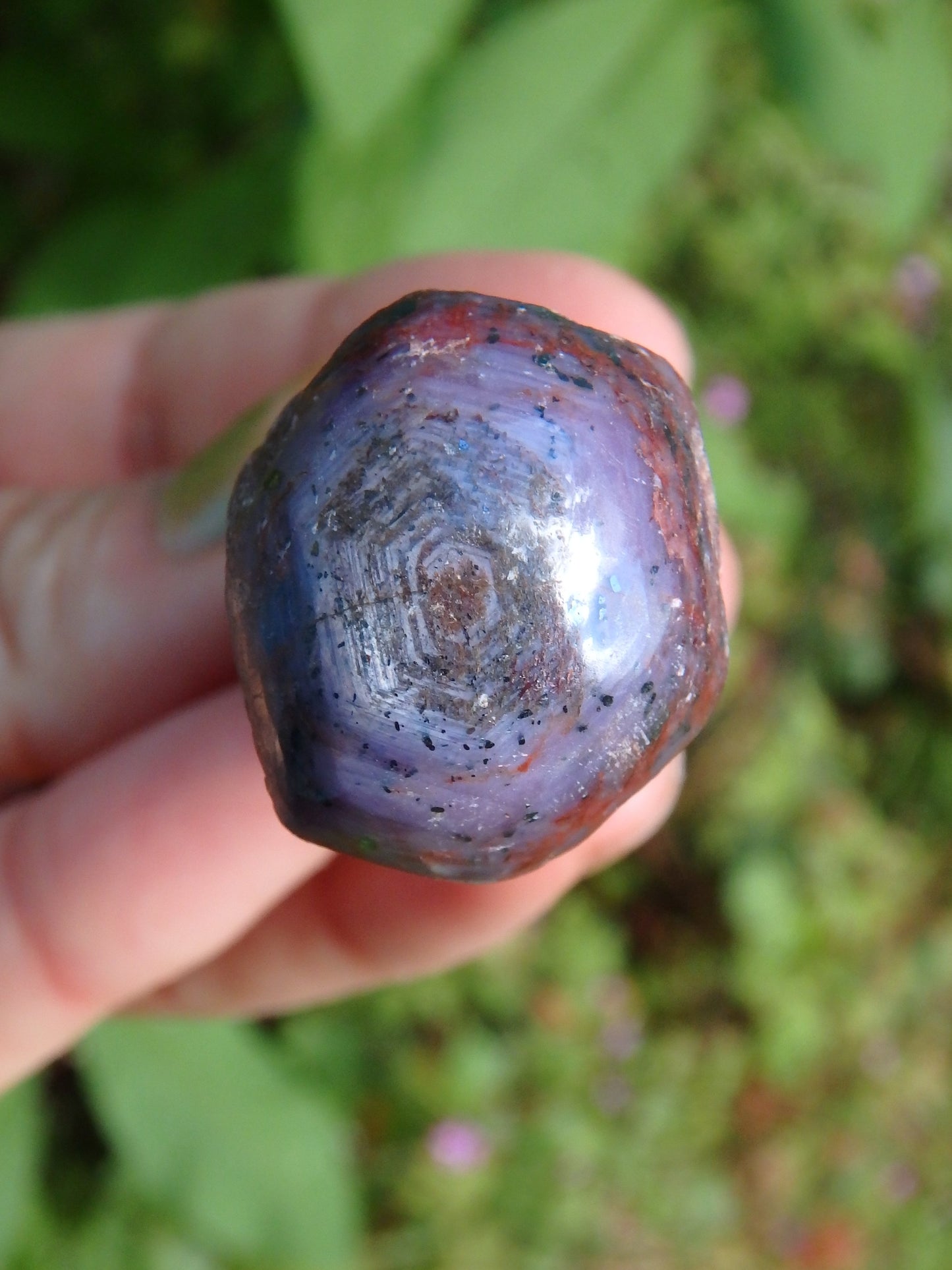 Purple &  Burgundy Star Ruby Point From India - Metiz Tier Price