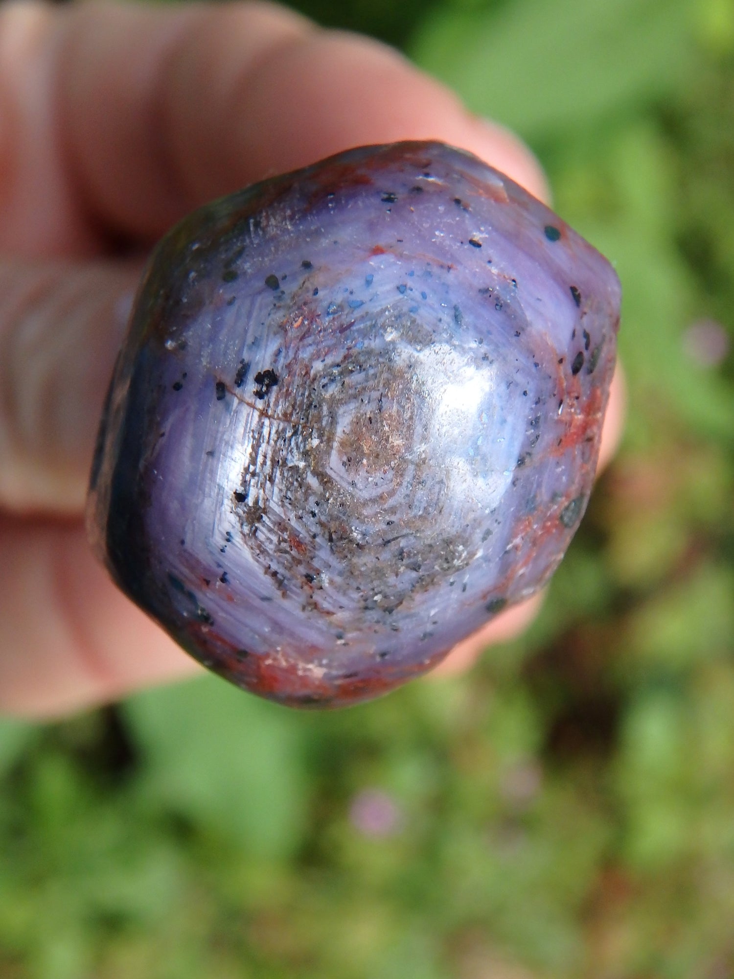 Purple &  Burgundy Star Ruby Point From India - Metiz Tier Price
