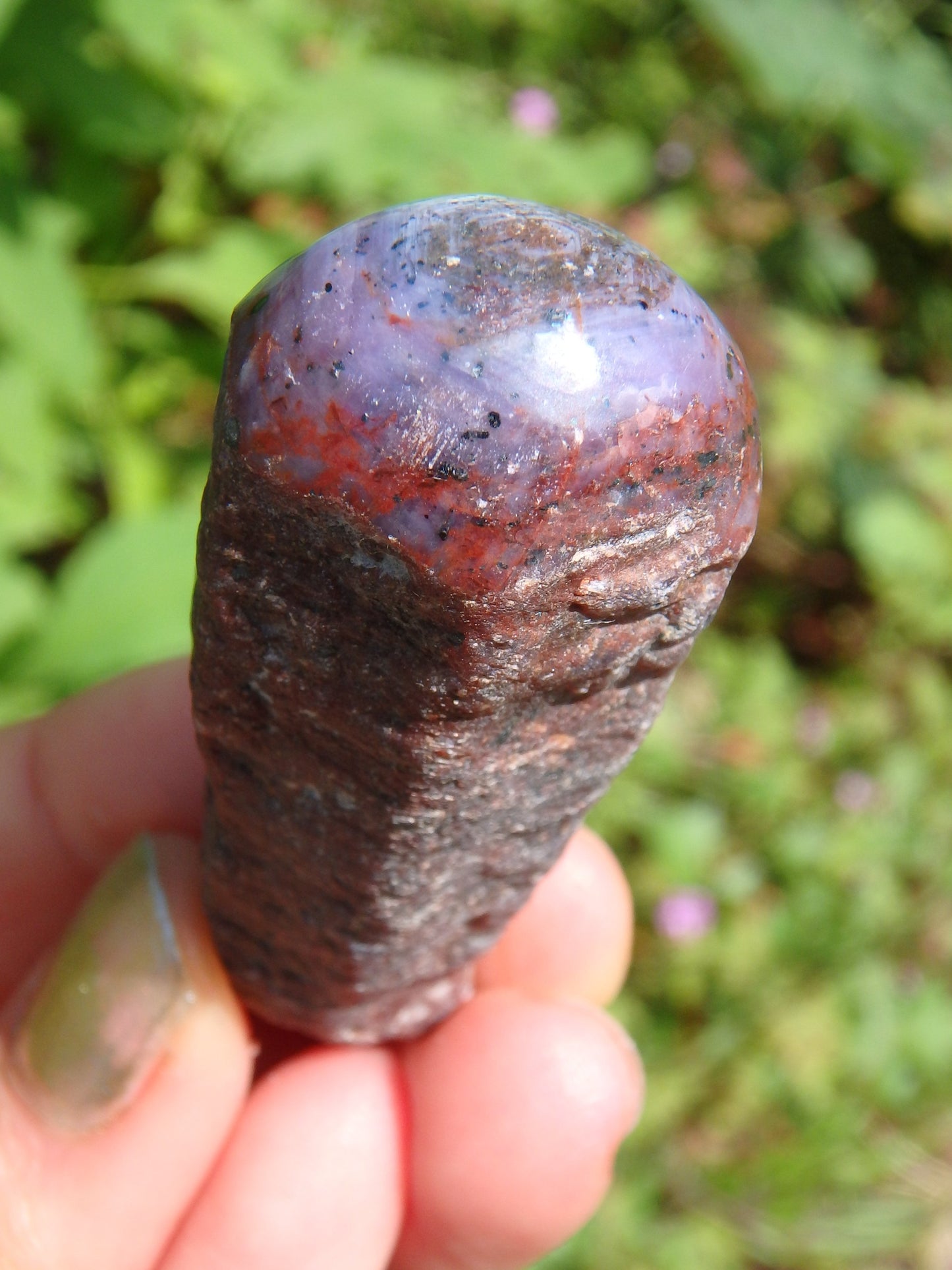 Purple &  Burgundy Star Ruby Point From India - Metiz Tier Price