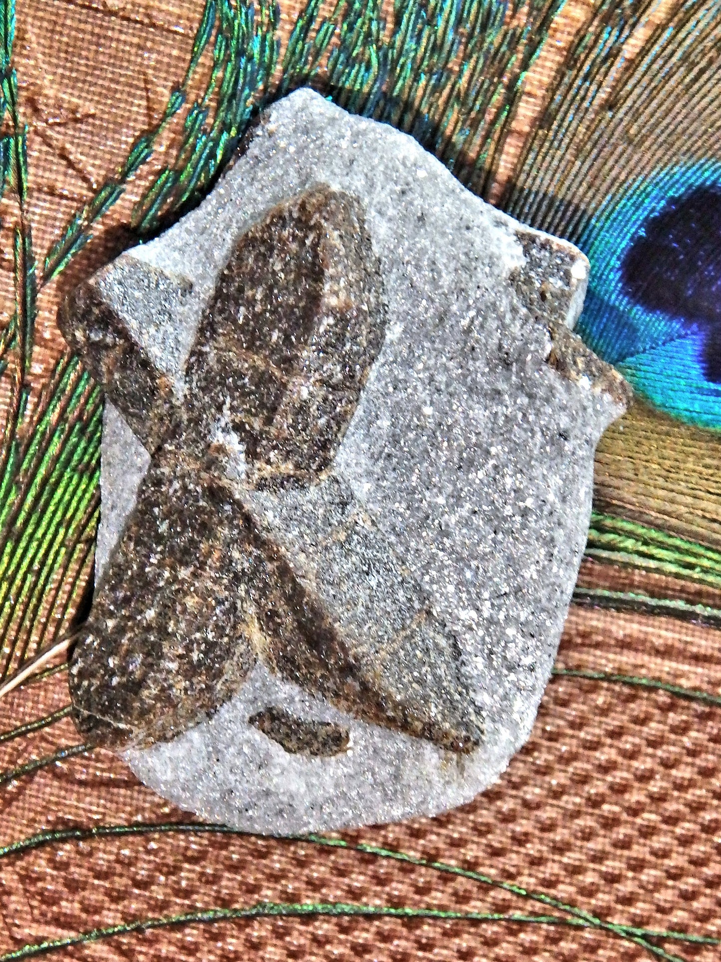 Natural & Rare Staurolite Specimen From Russia 2 - Earth Family Crystals