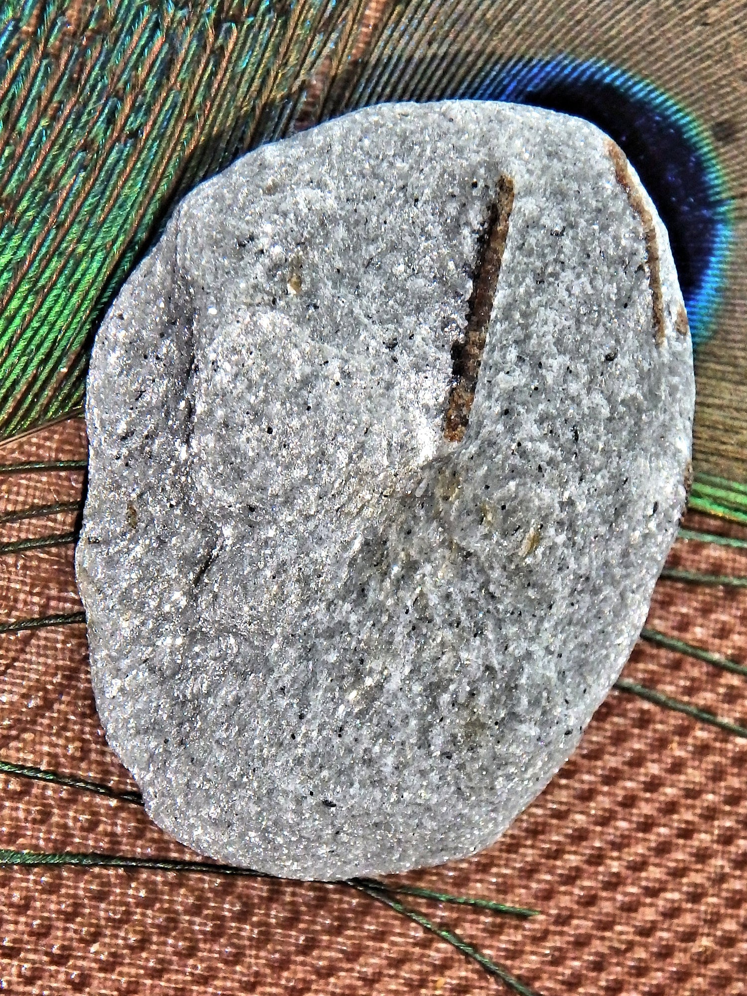 Natural & Rare Staurolite Specimen From Russia 3 - Earth Family Crystals