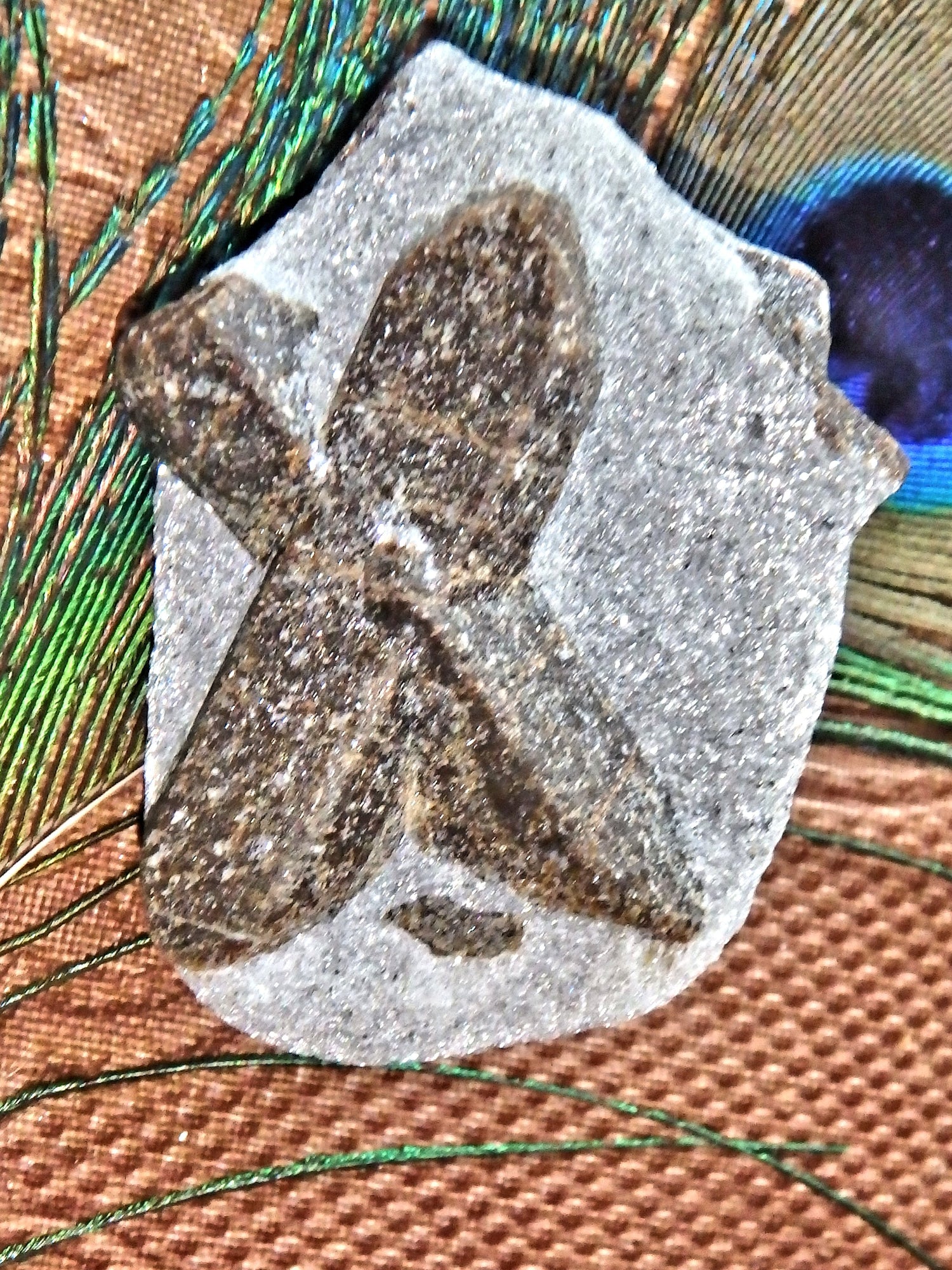Natural & Rare Staurolite Specimen From Russia 2 - Earth Family Crystals