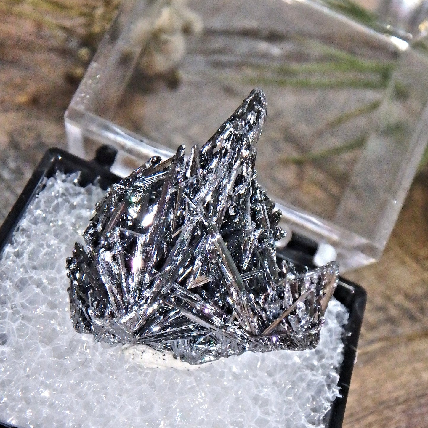 Intricate & Silver Shine Blades of Stibnite Collectors Cluster In Protective Box From Romania - Earth Family Crystals