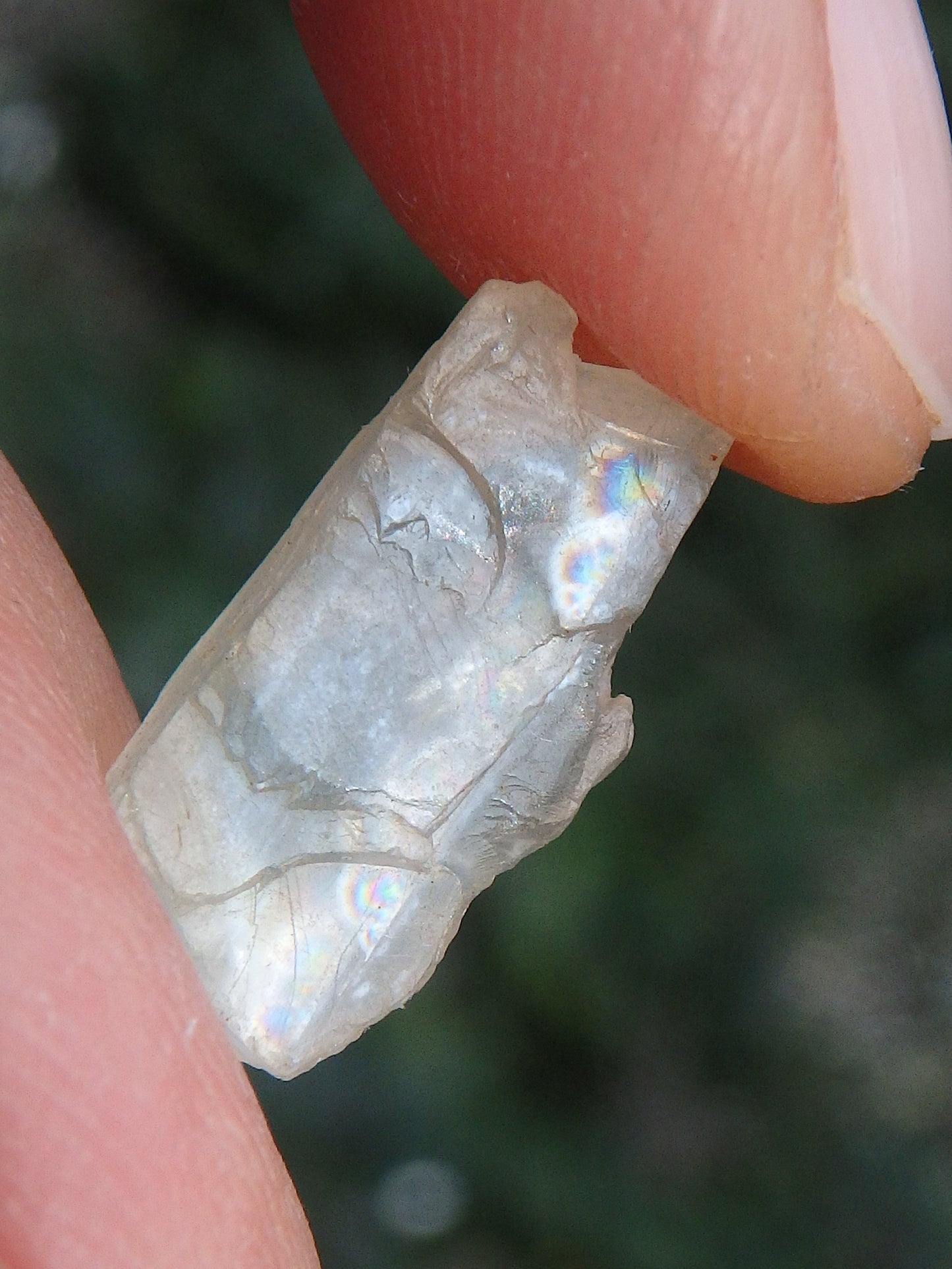  Golden Arizona Natural Sunstone in Collectors Box 1 Default Title - Earth Family Crystals