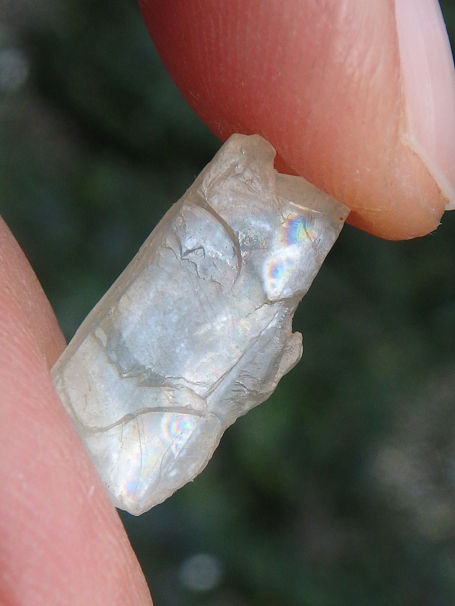  Golden Arizona Natural Sunstone in Collectors Box 1 Default Title - Earth Family Crystals
