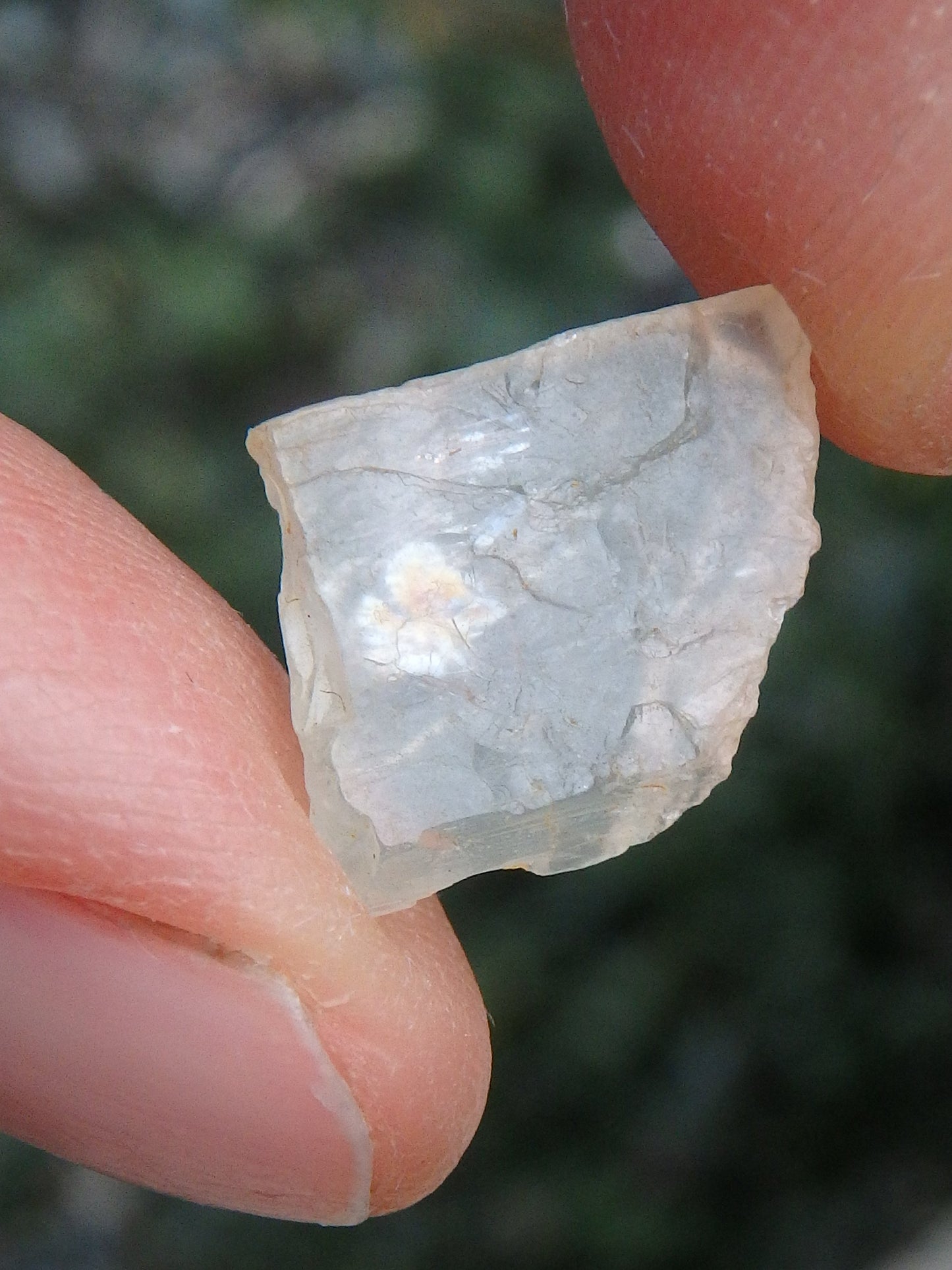  Golden Arizona Natural Sunstone in Collectors Box 5 Default Title - Earth Family Crystals