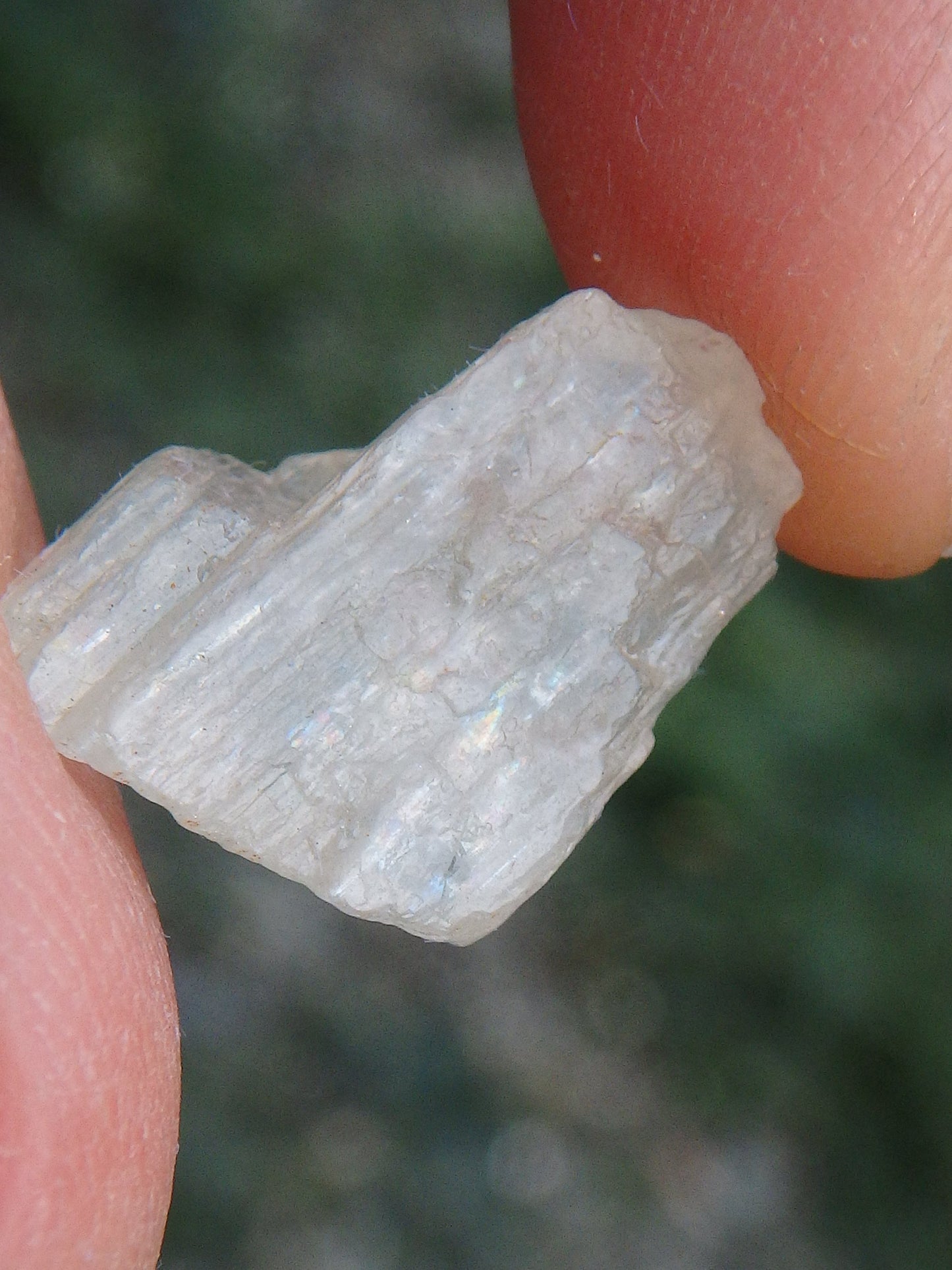  Golden Arizona Natural Sunstone in Collectors Box 4 Default Title - Earth Family Crystals