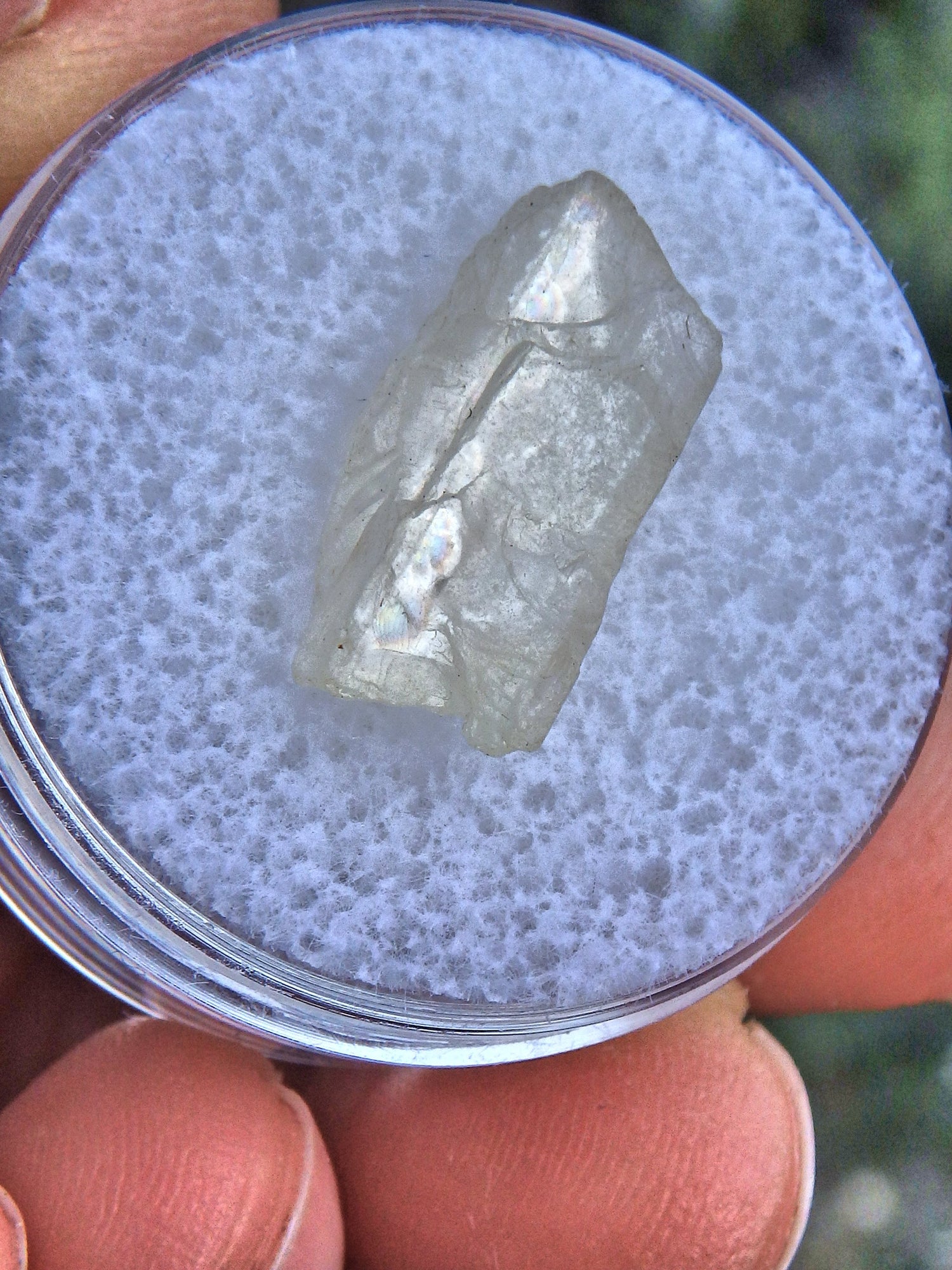  Golden Arizona Natural Sunstone in Collectors Box 1 Default Title - Earth Family Crystals