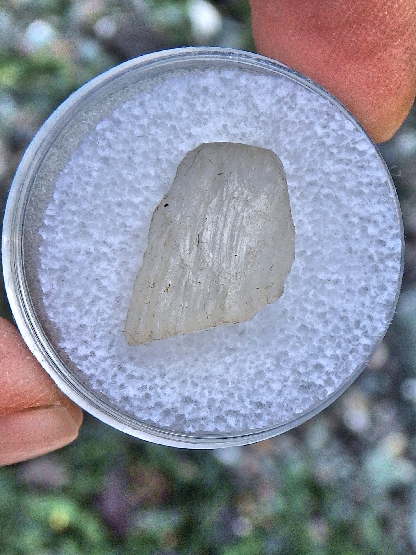  Golden Arizona Natural Sunstone in Collectors Box 2 Default Title - Earth Family Crystals