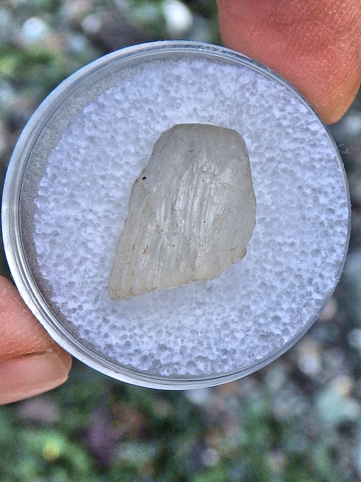  Golden Arizona Natural Sunstone in Collectors Box 2 Default Title - Earth Family Crystals