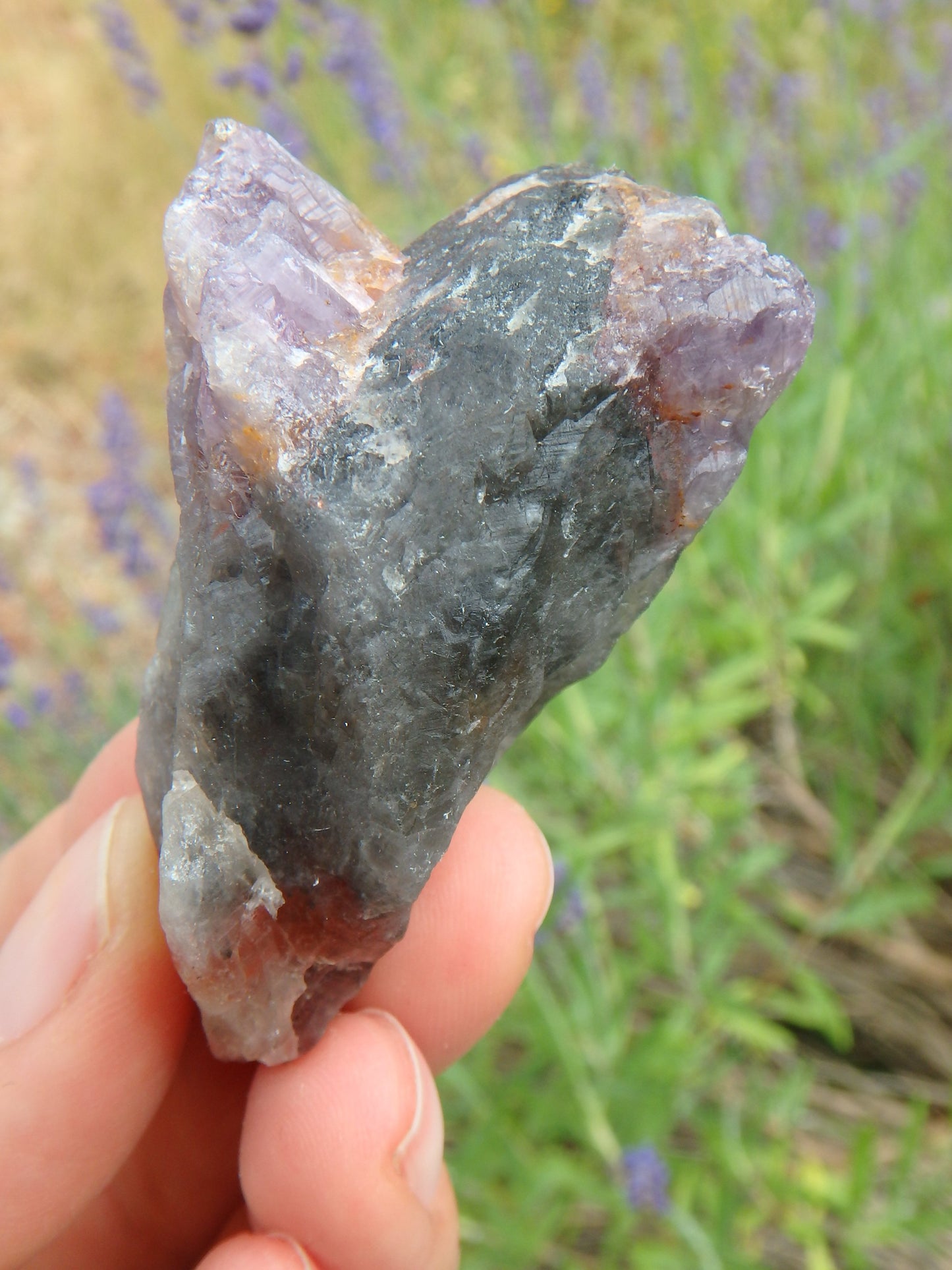 Natural Heart Shape With Red Tip Super 7 (Melody Stone) Point - Earth Family Crystals