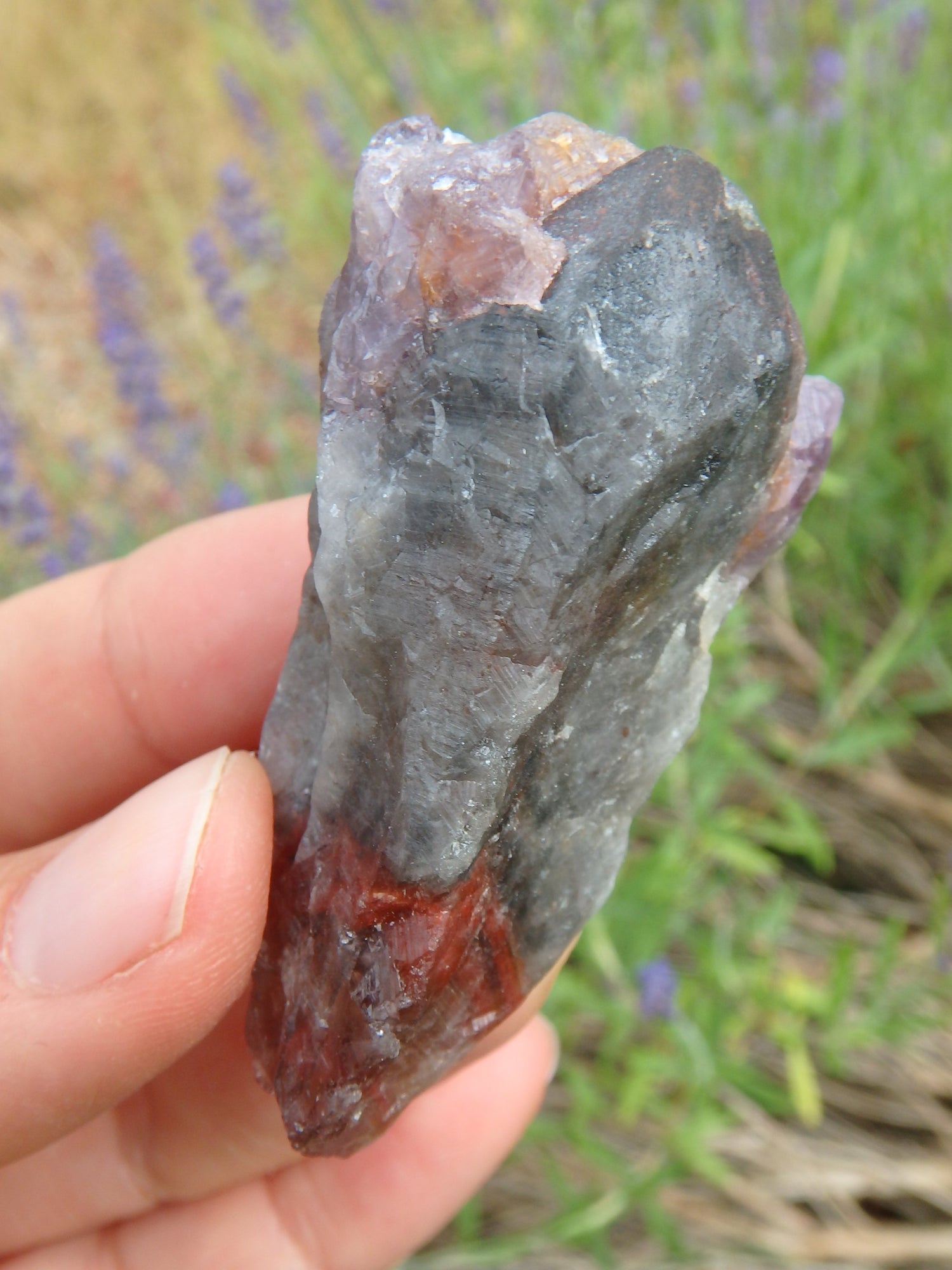 Natural Heart Shape With Red Tip Super 7 (Melody Stone) Point - Earth Family Crystals
