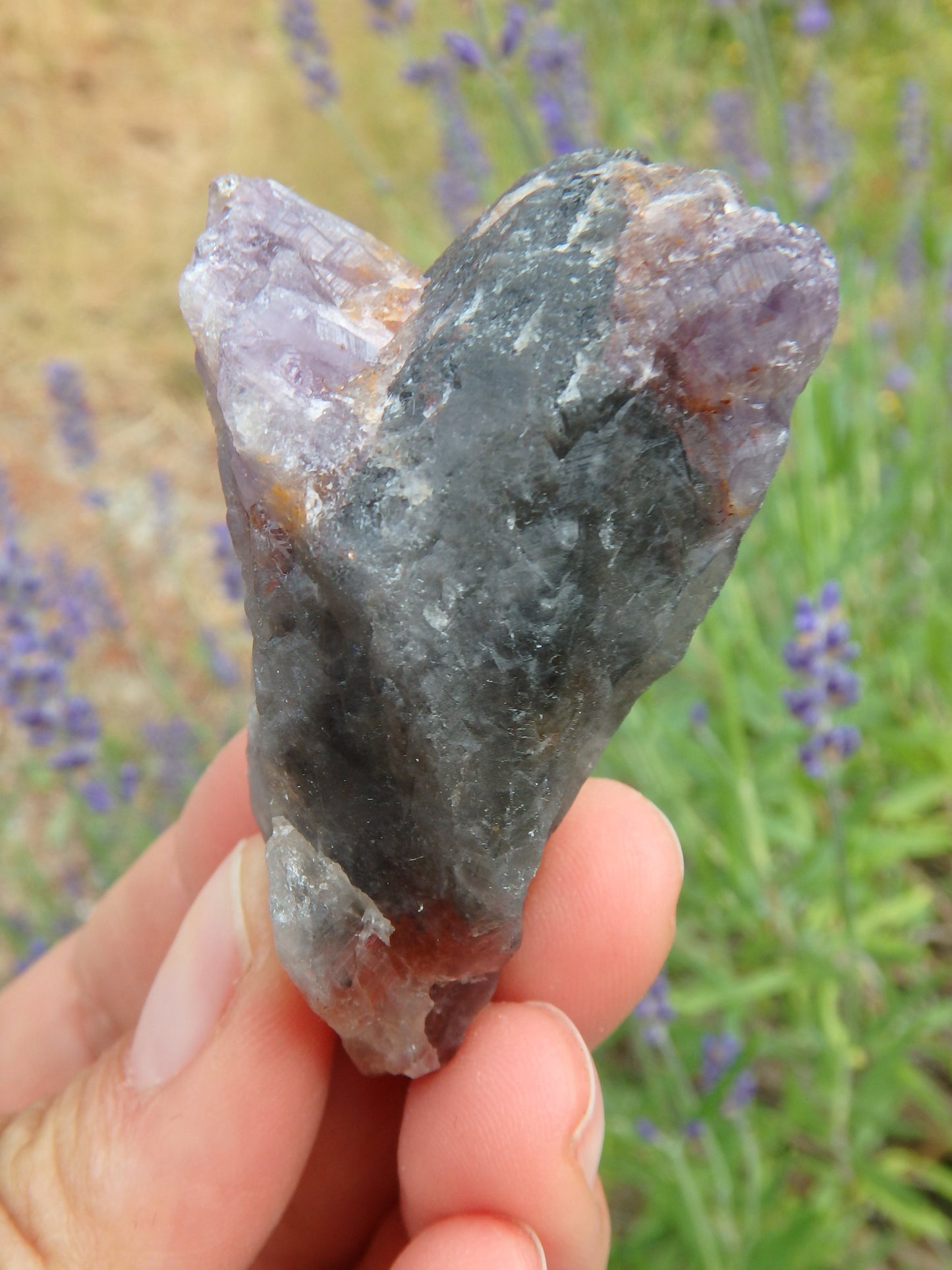 Natural Heart Shape With Red Tip Super 7 (Melody Stone) Point - Earth Family Crystals