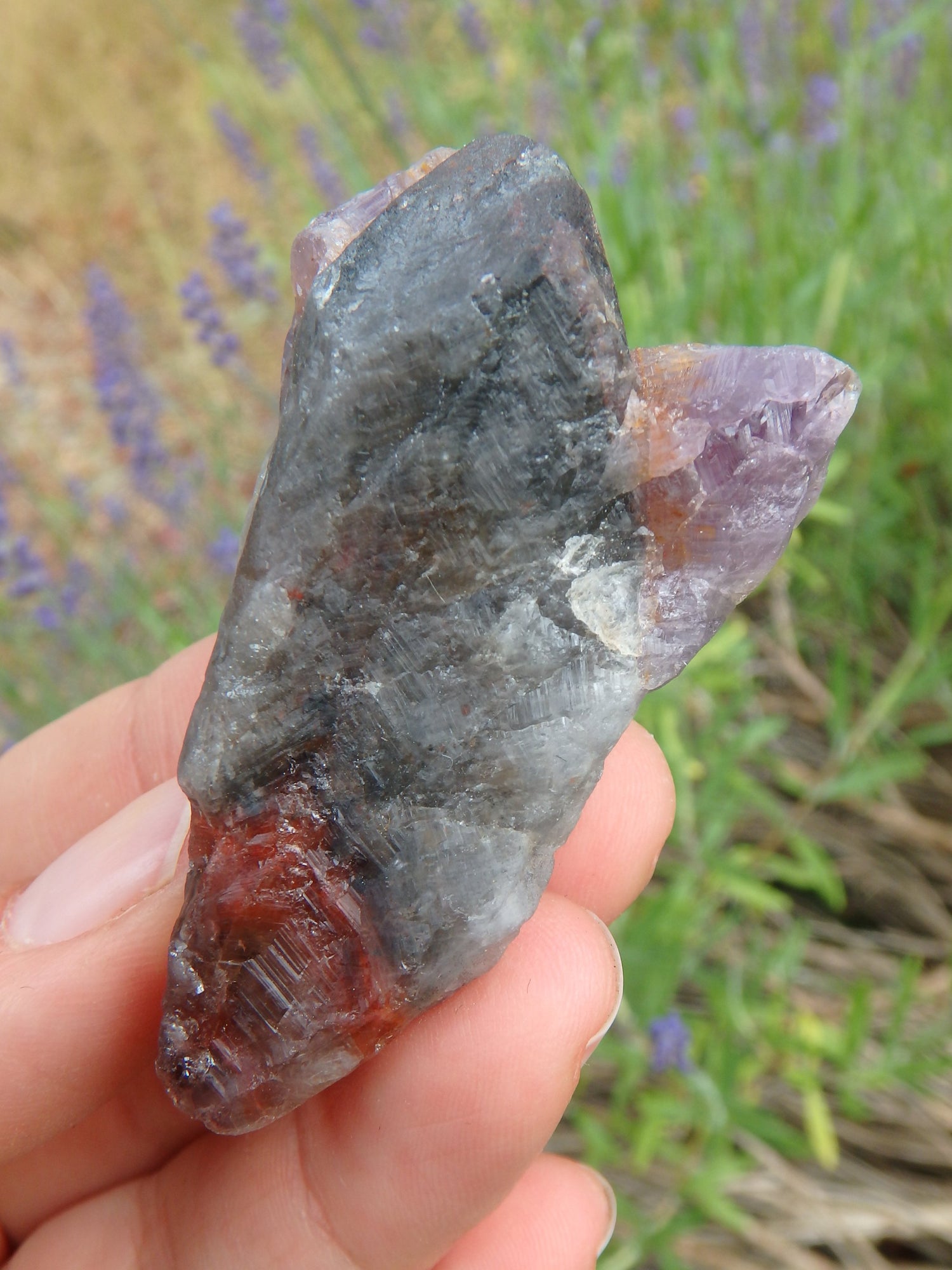 Natural Heart Shape With Red Tip Super 7 (Melody Stone) Point - Earth Family Crystals