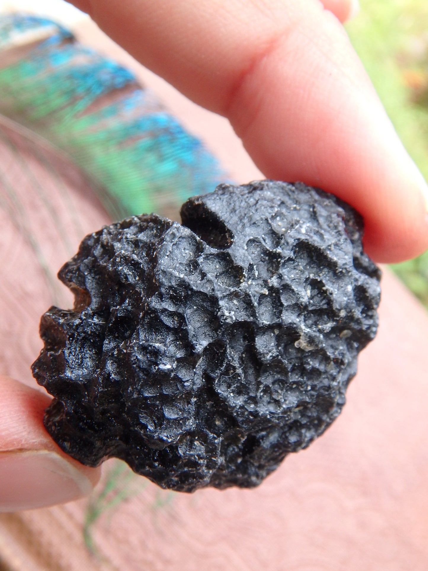Natural Black Tektite Hand Held Specimen 2 - Earth Family Crystals