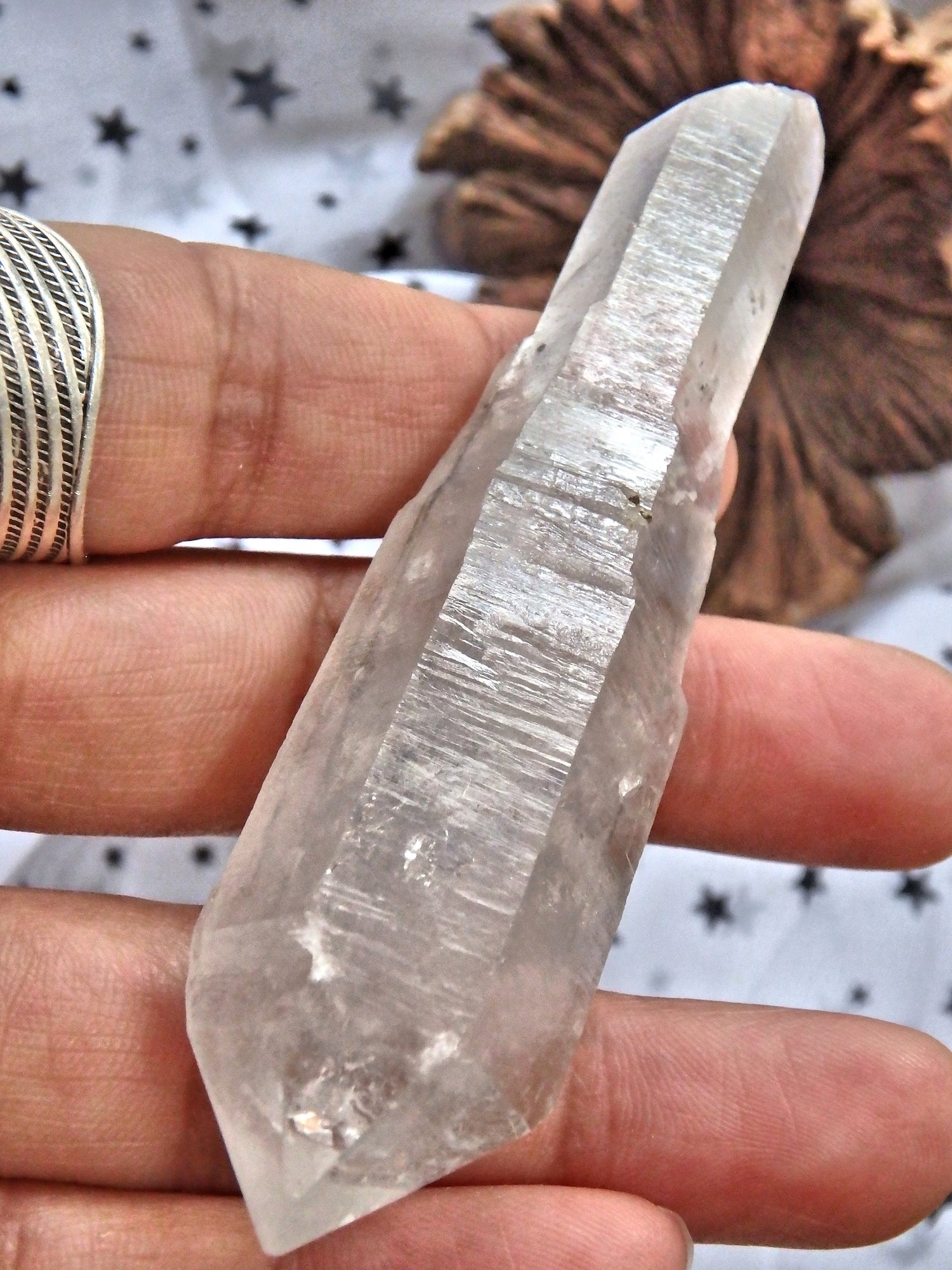 Moving Black Water Fragments Tibetan Quartz DT Point With Record Keepers - Earth Family Crystals