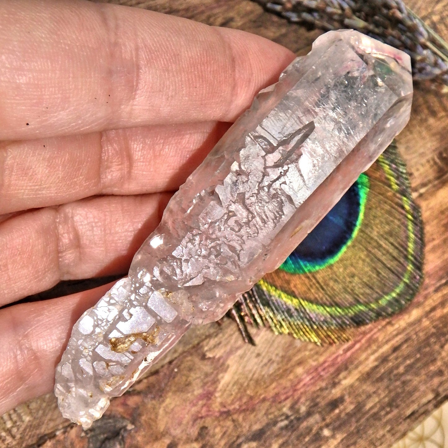 Huge Moving Water Bubble Earth etched Sceptre Tibetan Quartz Point