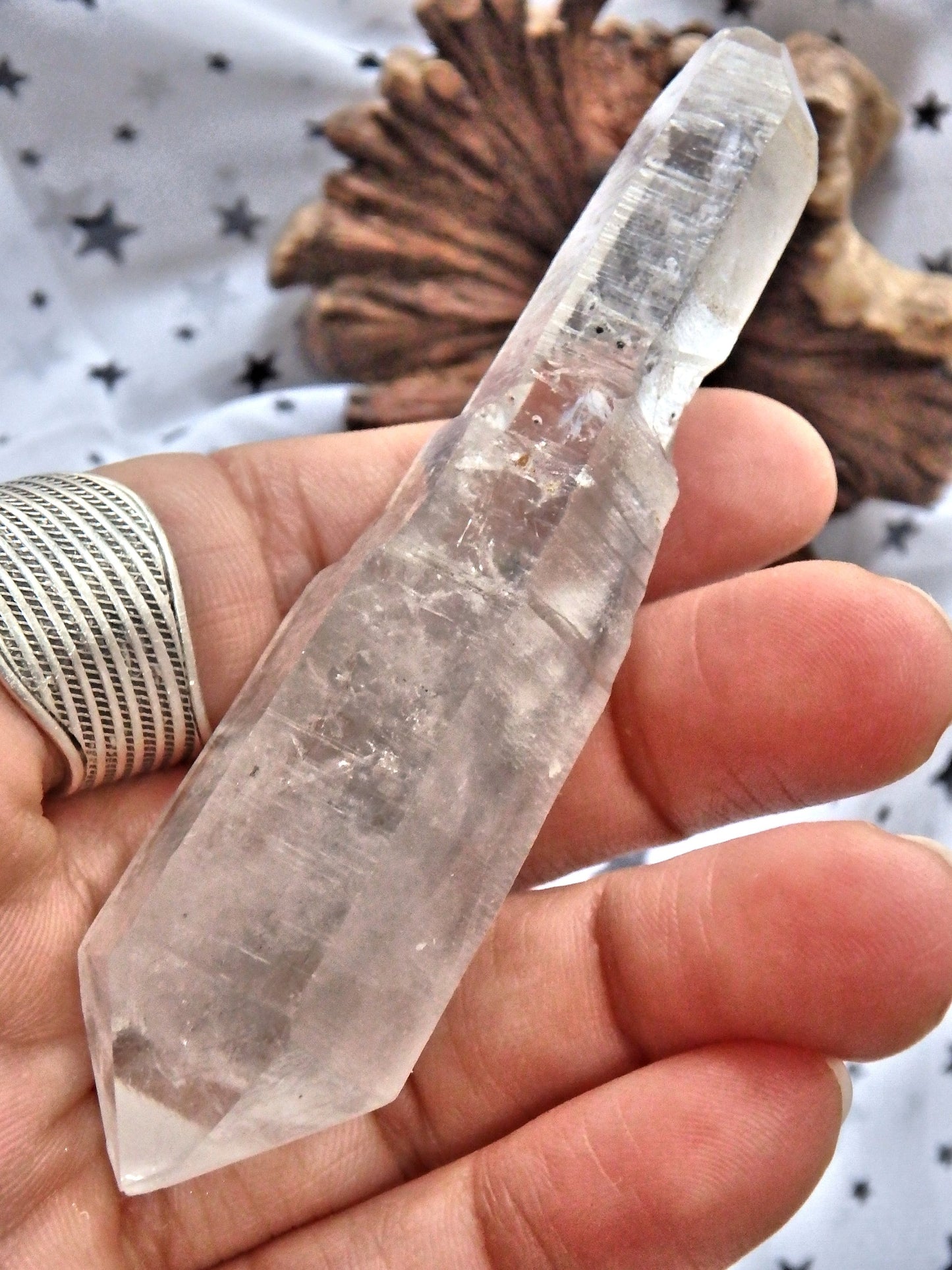 Moving Black Water Fragments Tibetan Quartz DT Point With Record Keepers - Earth Family Crystals