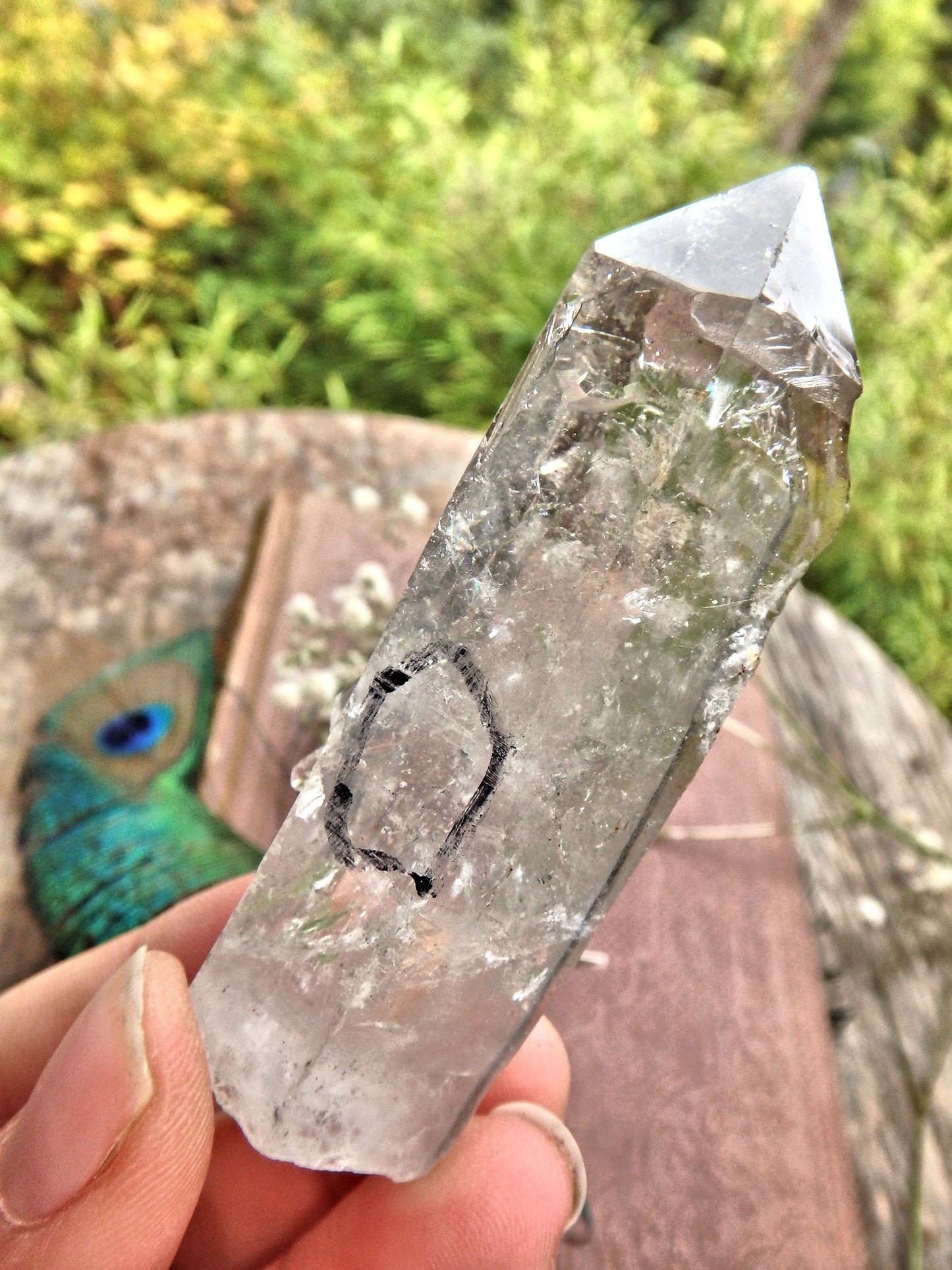 Moving Water Fragment Inclusion Tibetan Quartz Point1 - Earth Family Crystals