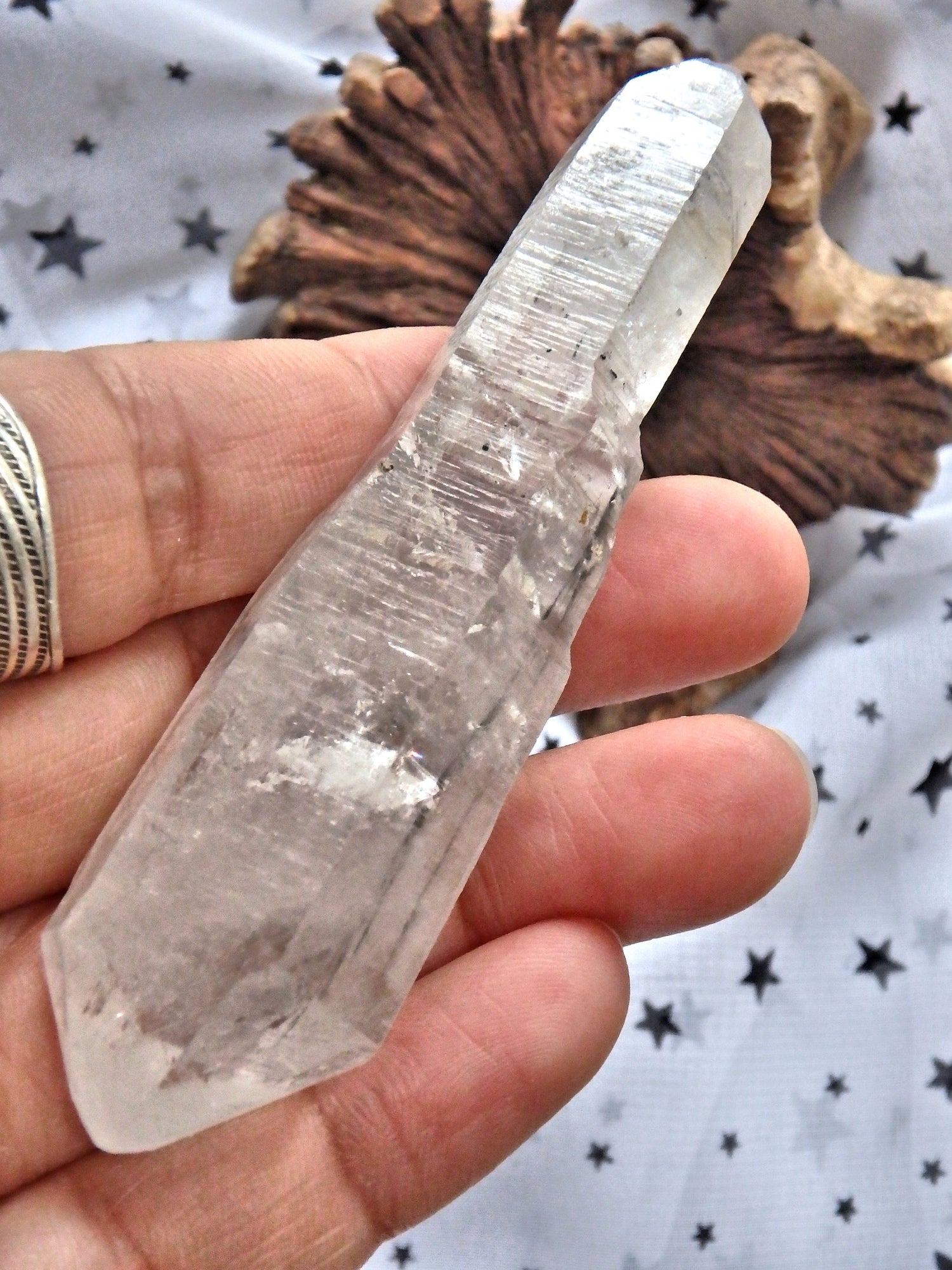 Moving Black Water Fragments Tibetan Quartz DT Point With Record Keepers - Earth Family Crystals