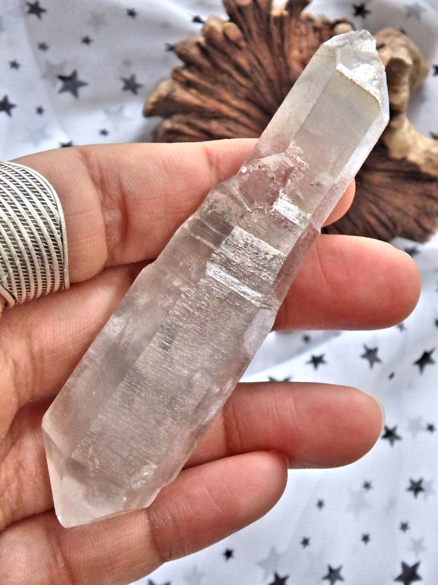 Moving Black Water Fragments Tibetan Quartz DT Point With Record Keepers - Earth Family Crystals