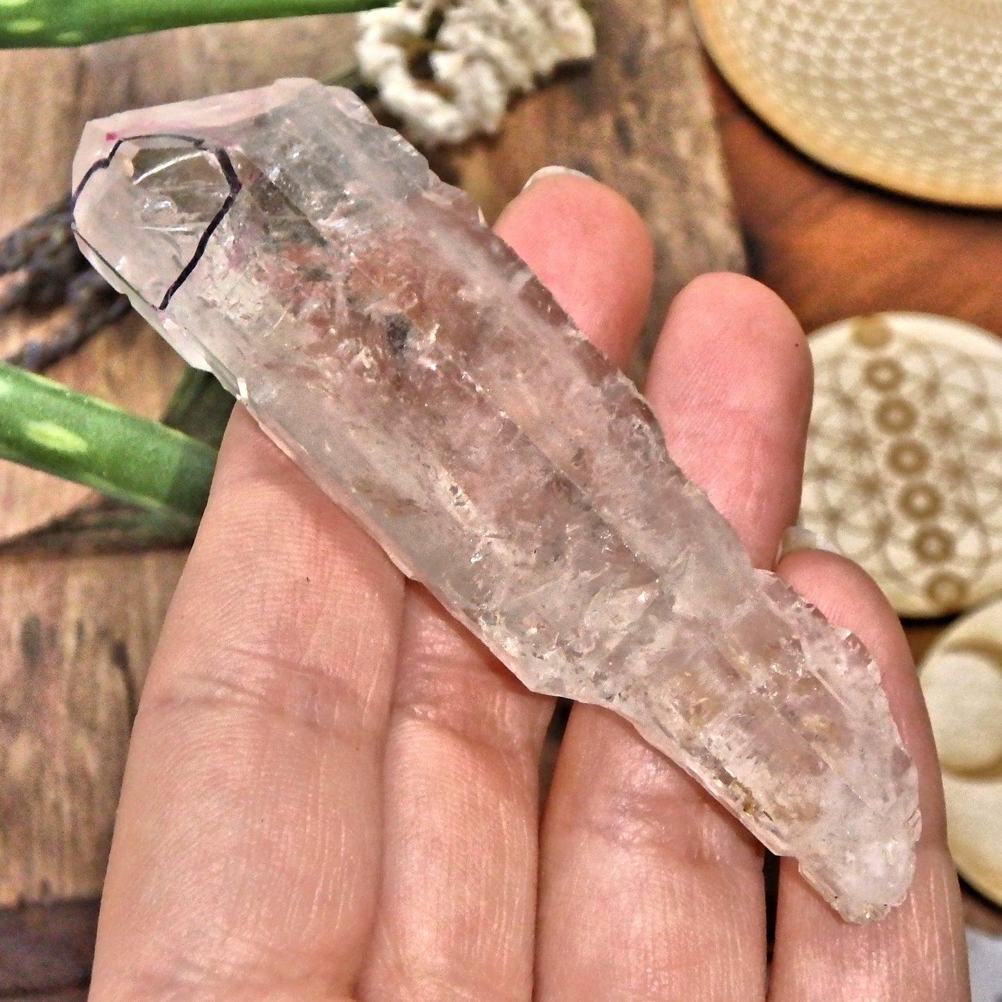 Huge Moving Water Bubble Earth etched Sceptre Tibetan Quartz Point