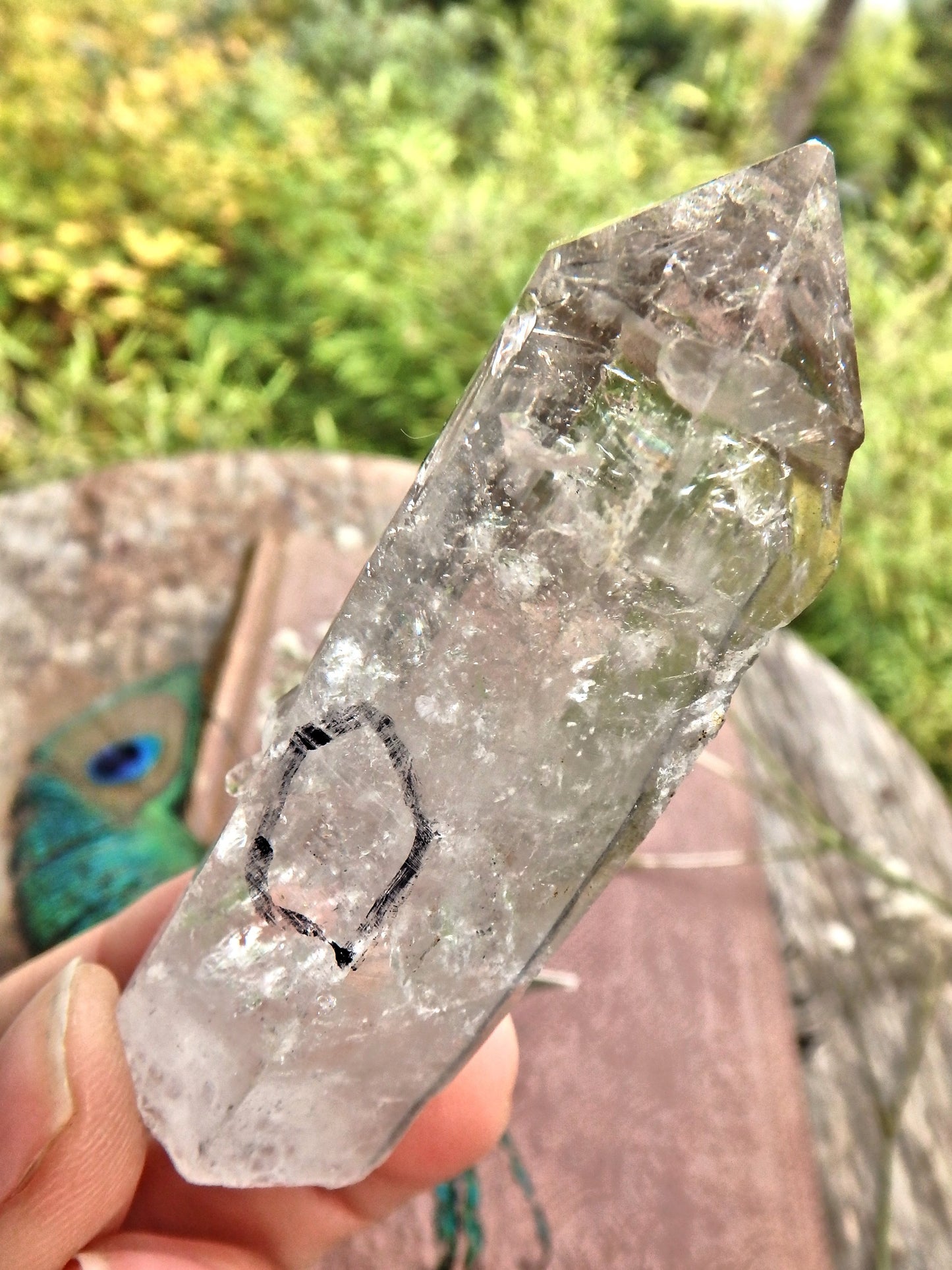 Moving Water Fragment Inclusion Tibetan Quartz Point1 - Earth Family Crystals