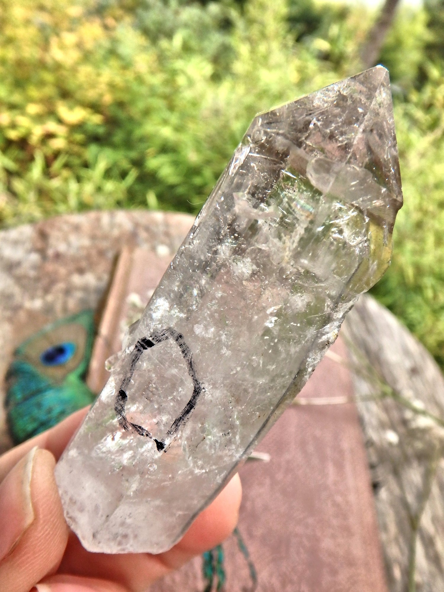 Moving Water Fragment Inclusion Tibetan Quartz Point1 - Earth Family Crystals