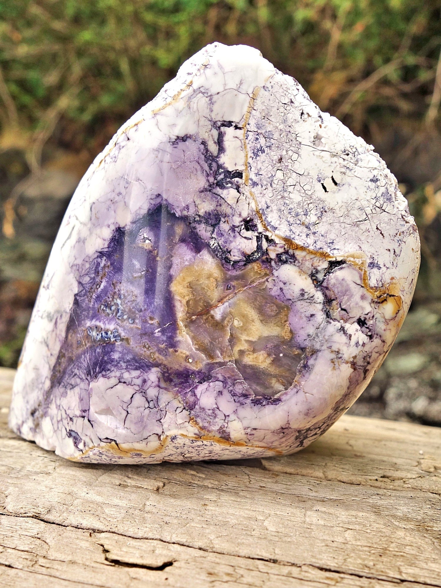 Chunky Partially Polished Creamy Purple Tiffany Stone Display Specimen