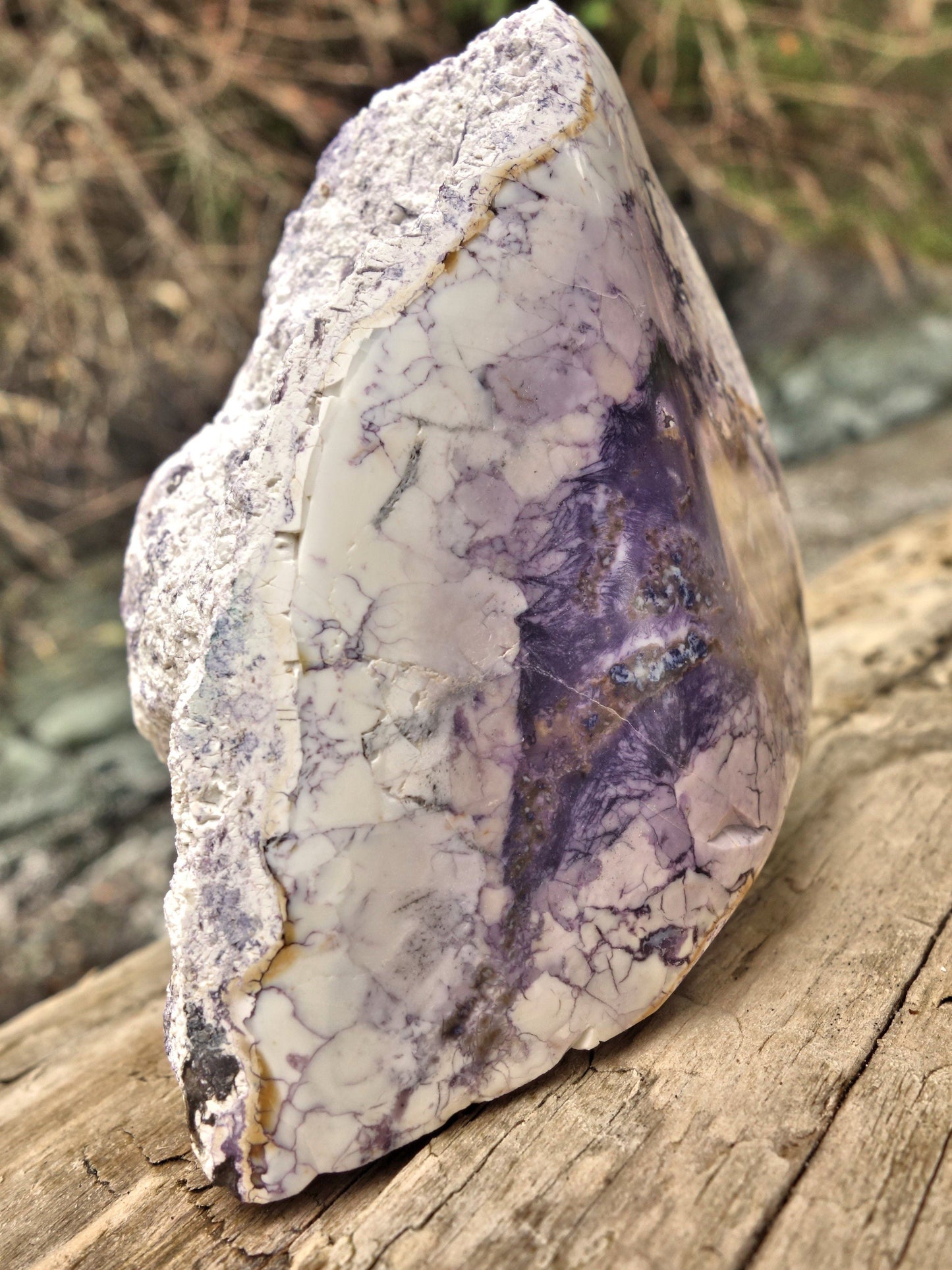 Chunky Partially Polished Creamy Purple Tiffany Stone Display Specimen