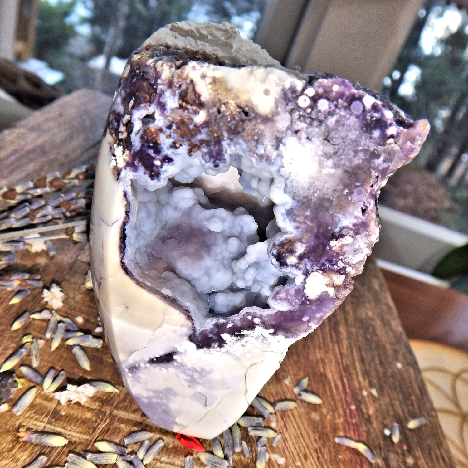 Rare Formation~ Breathtaking Druzy Cave Geode Tiffany Stone Partially Polished Standing Specimen - Earth Family Crystals