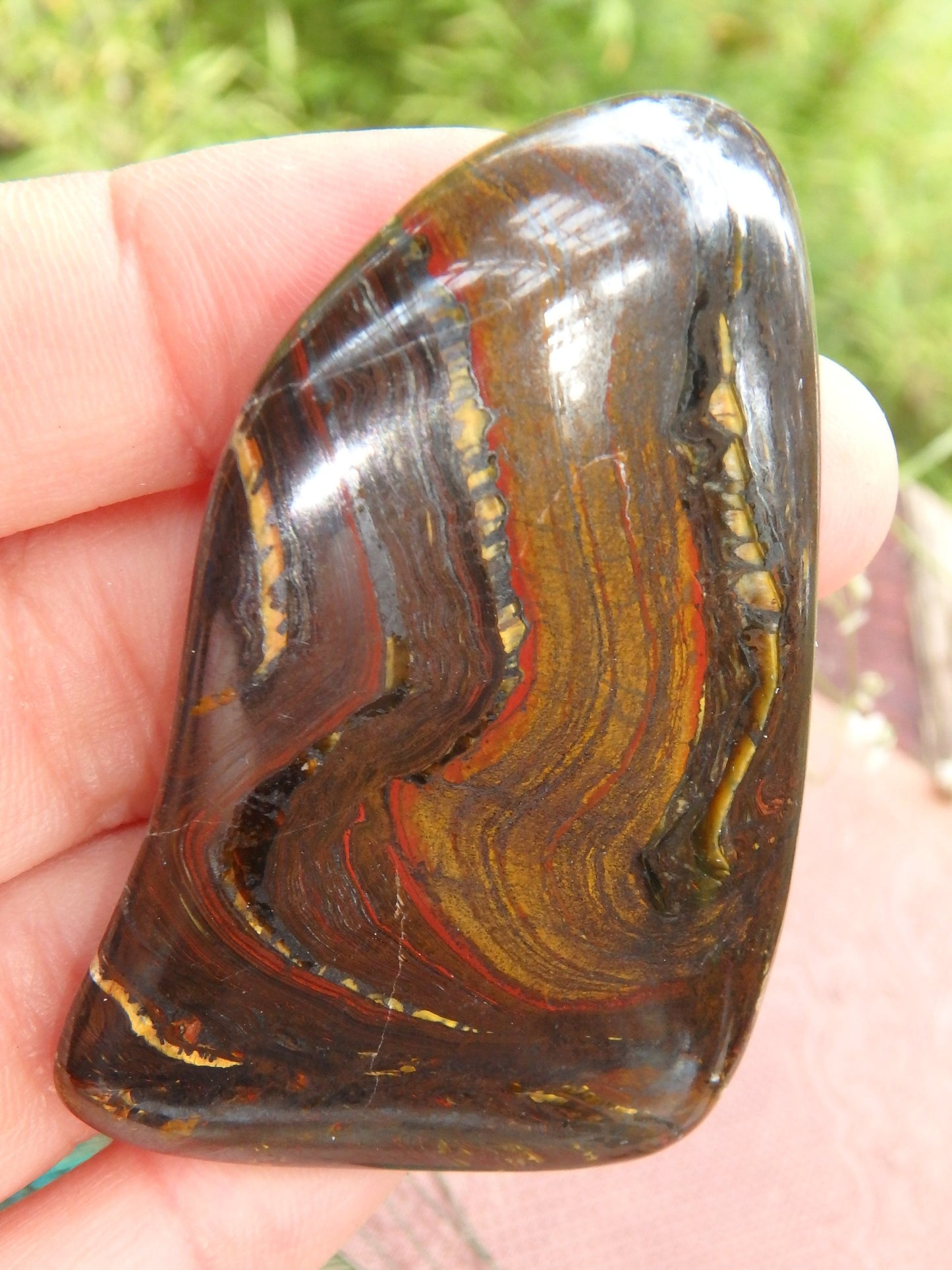 Shiny Tiger Iron Hand Held Specimen From Australia - Metiz Tier Price