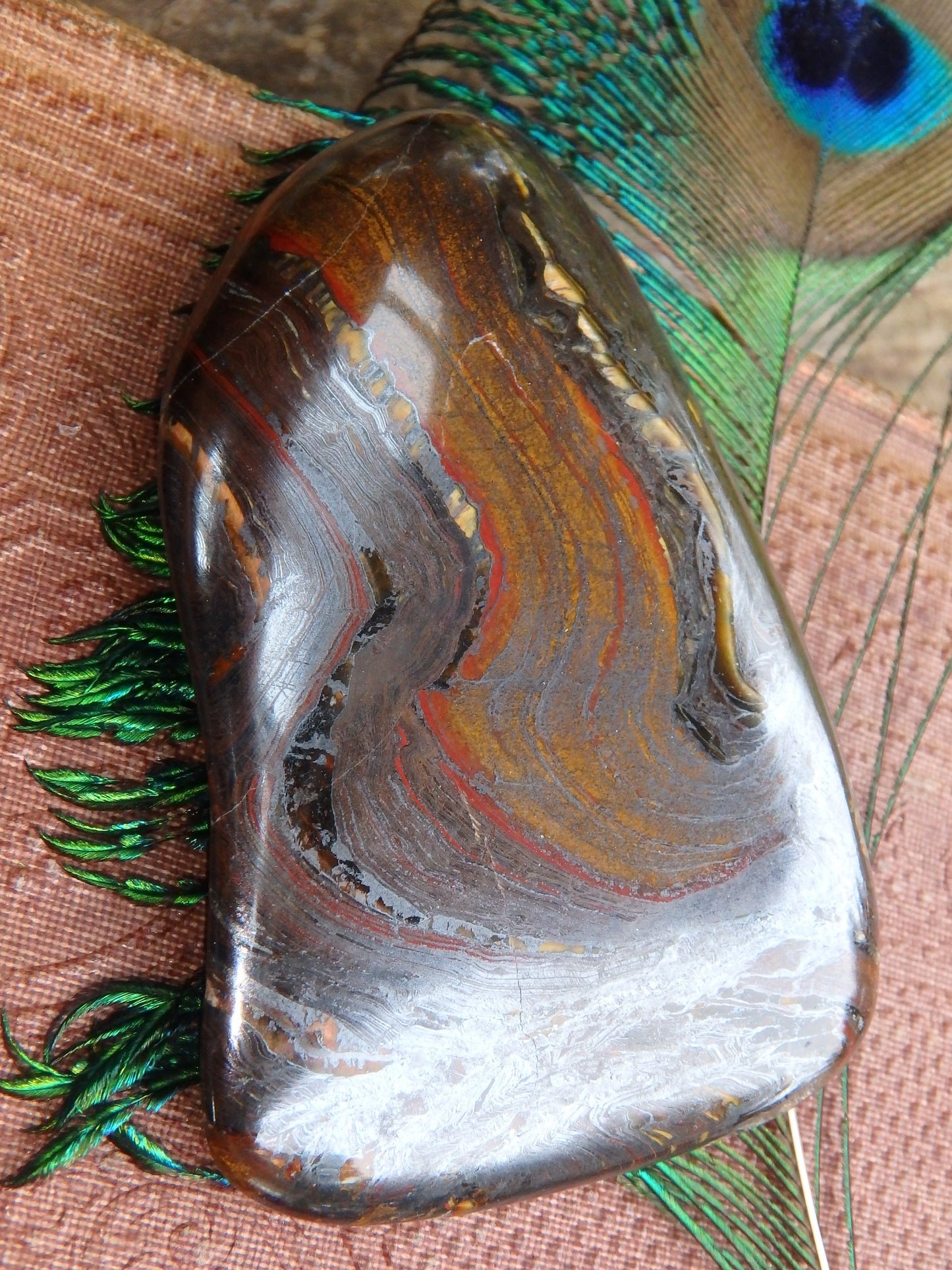 Shiny Tiger Iron Hand Held Specimen From Australia - Metiz Tier Price