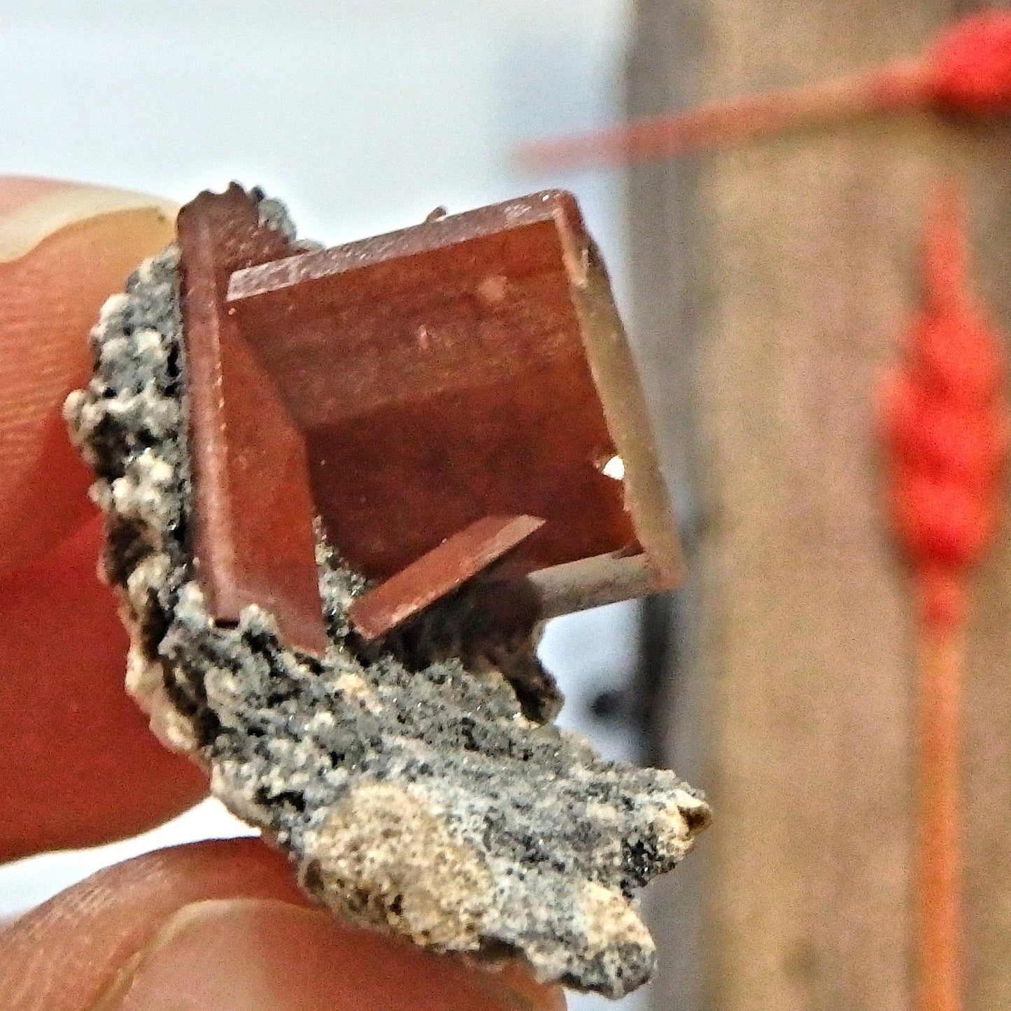  Deep Orange Topaz on Dainty Matrix From Mexico