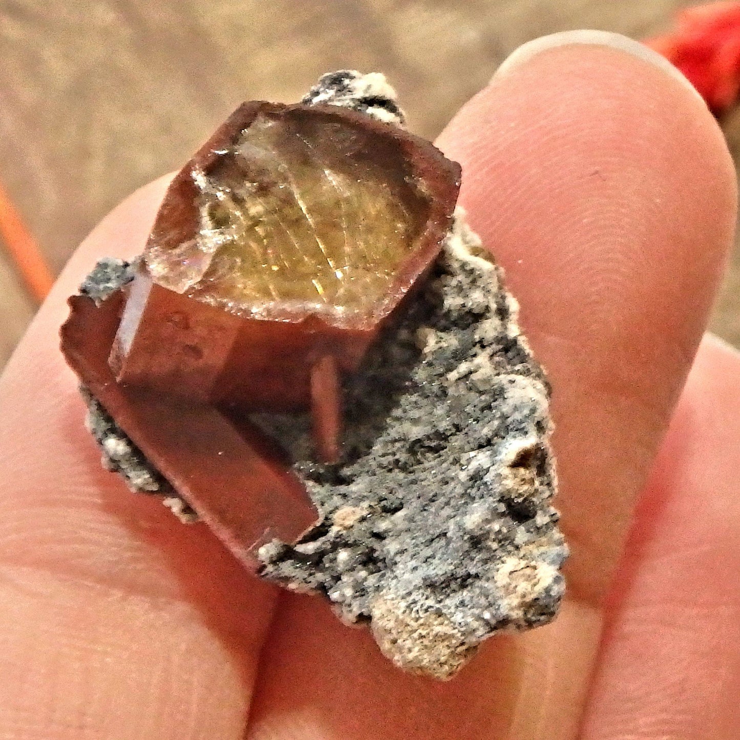  Deep Orange Topaz on Dainty Matrix From Mexico