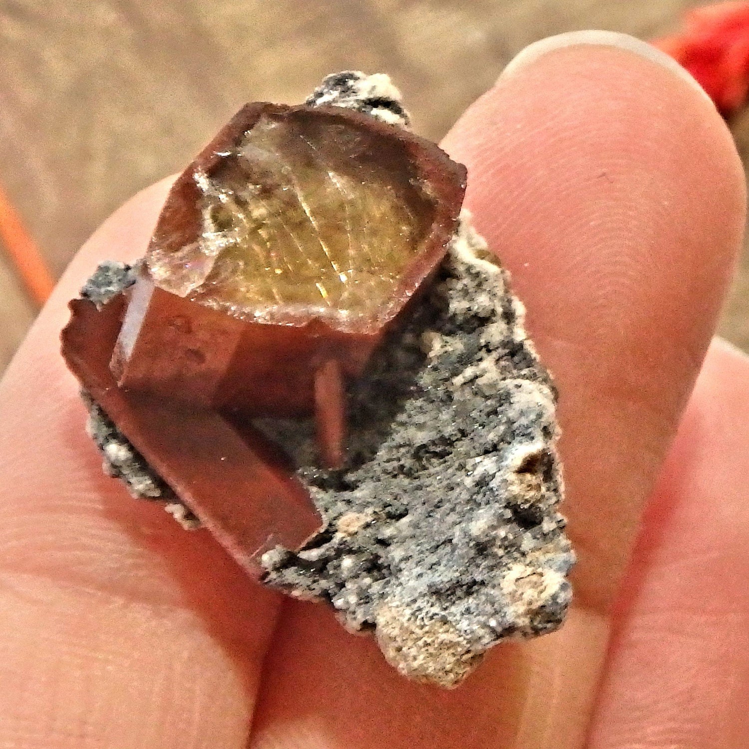  Deep Orange Topaz on Dainty Matrix From Mexico