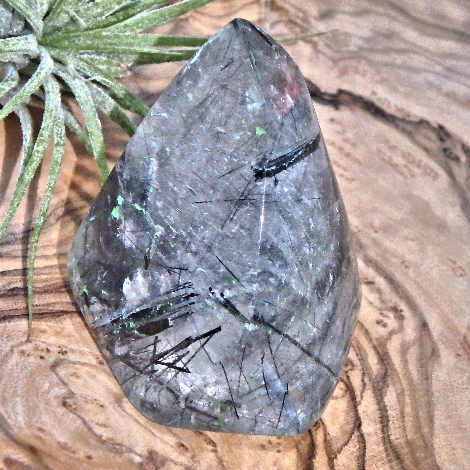 Midnight Light Tourmalated Himalayan Quartz Standing Free Form 3 - Earth Family Crystals