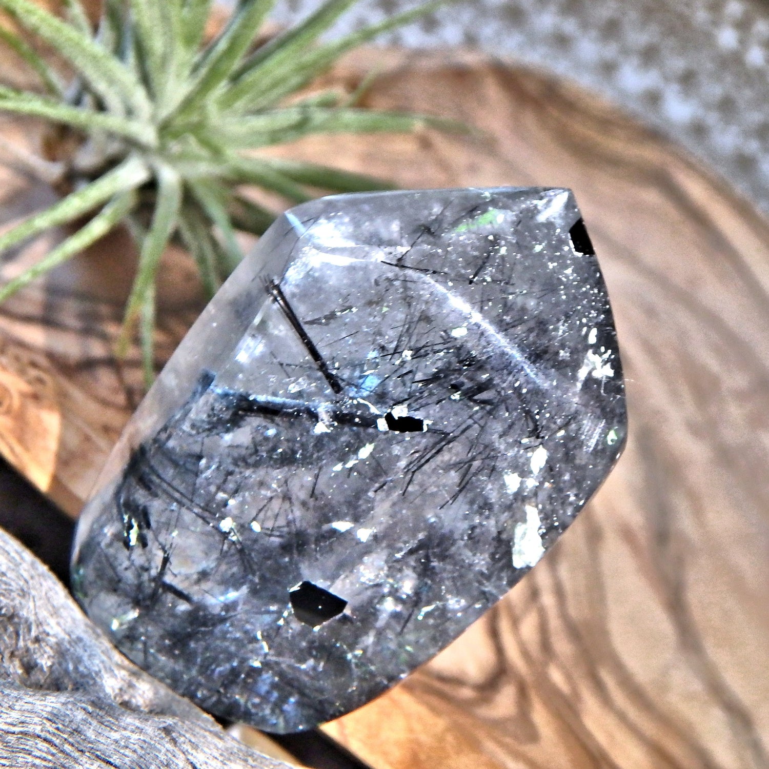 Midnight Light Tourmalated Himalayan Quartz Standing Free Form 1 - Earth Family Crystals