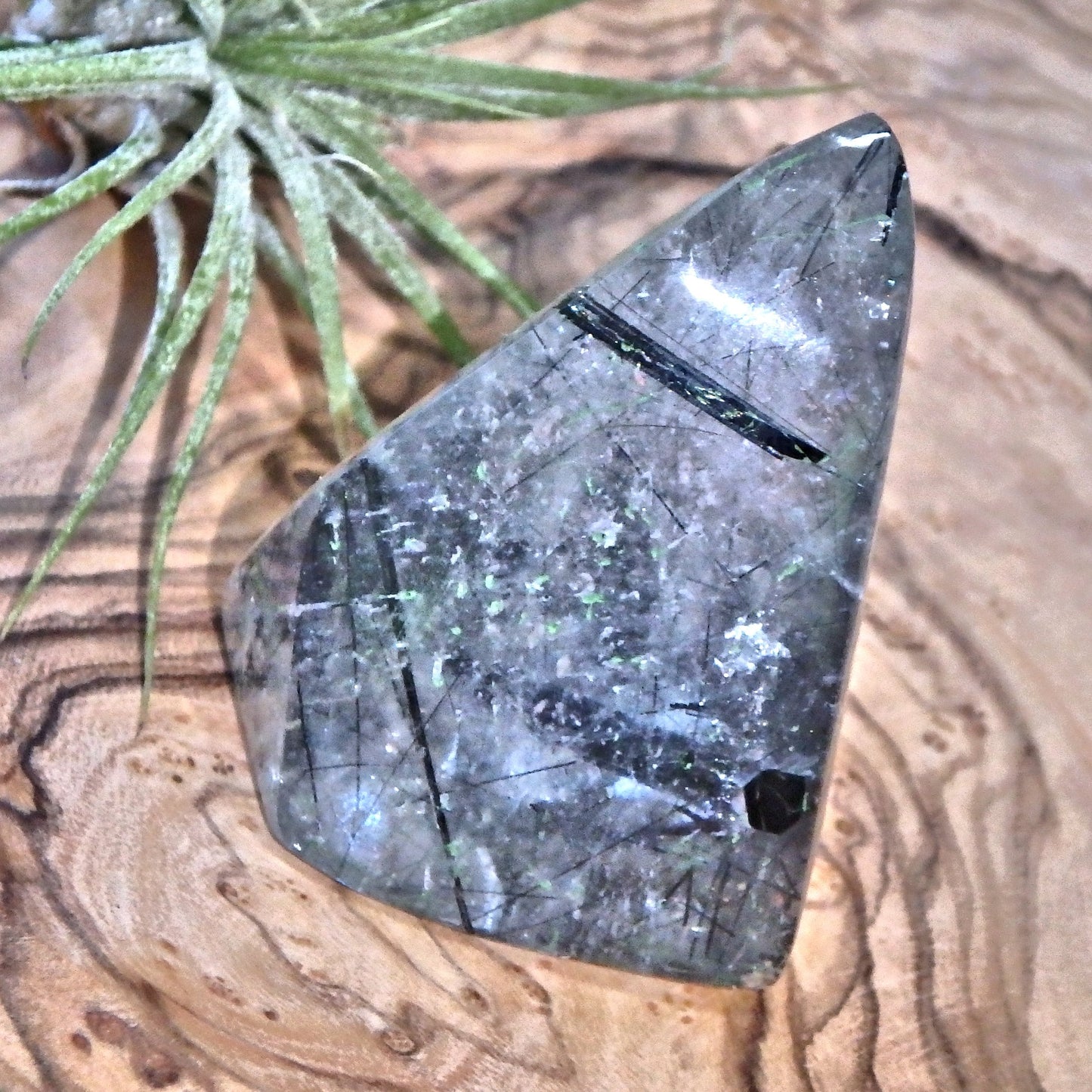 Midnight Light Tourmalated Himalayan Quartz Standing Free Form 3 - Earth Family Crystals
