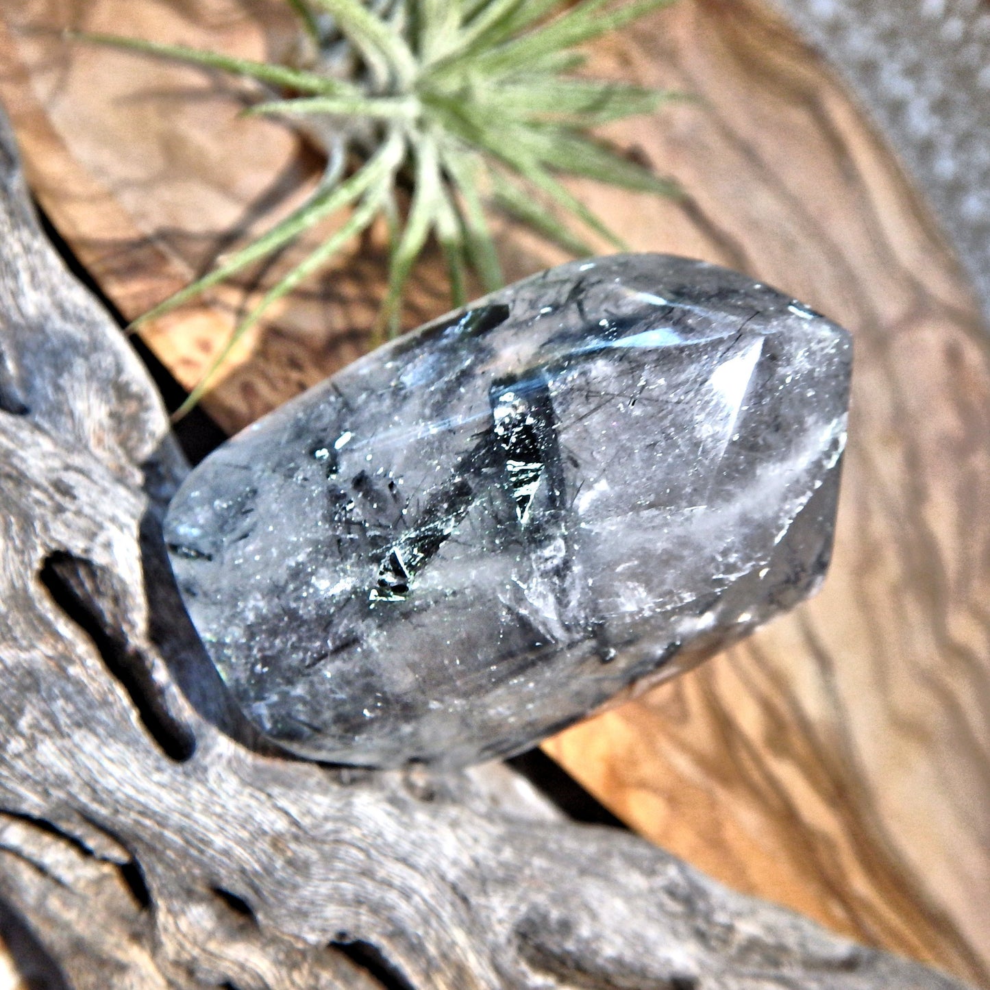 Midnight Light Tourmalated Himalayan Quartz Standing Free Form 1 - Earth Family Crystals