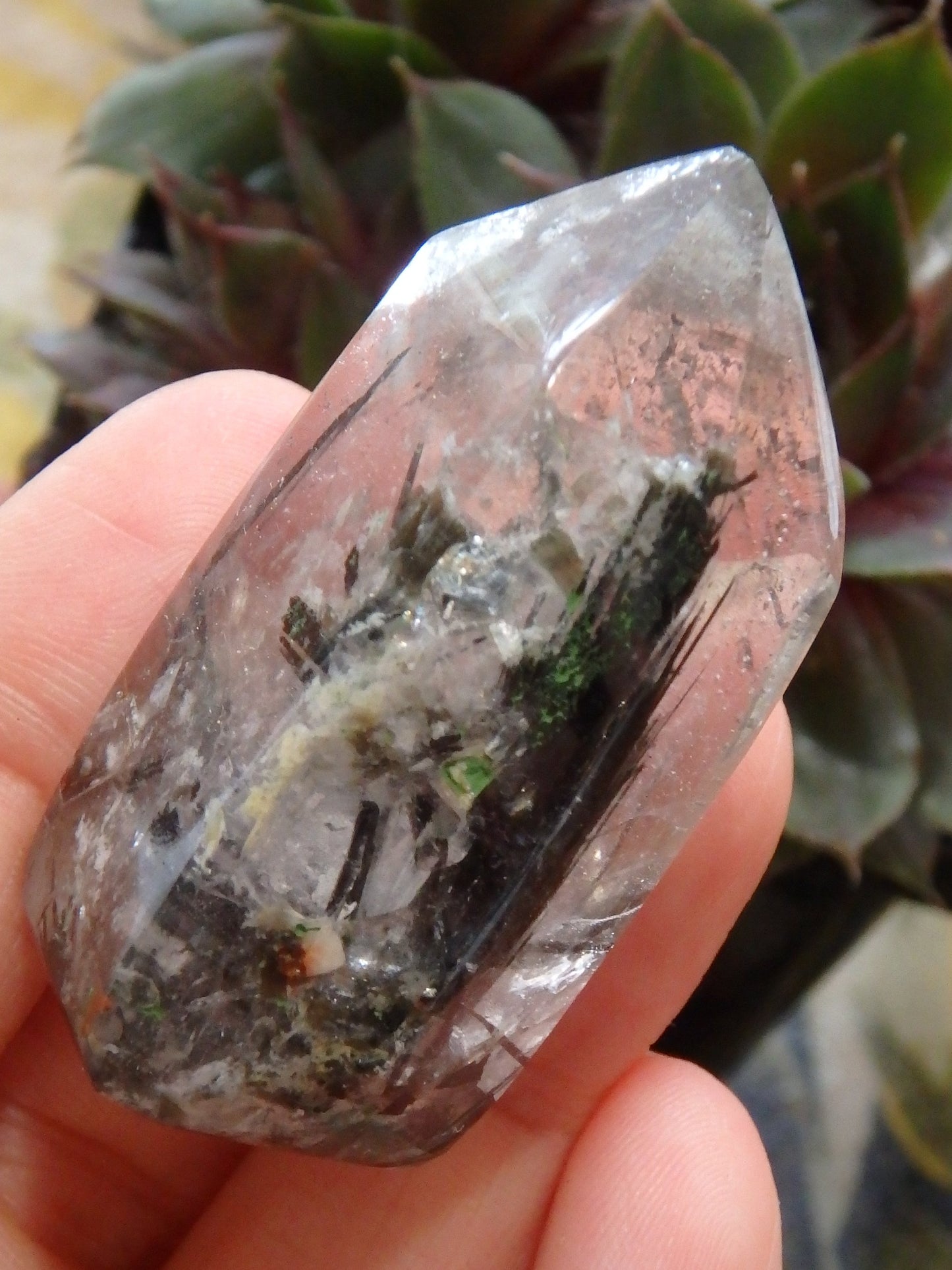 Polished Tourmalated Himalayan Quartz Free Form Specimen 3 - Earth Family Crystals