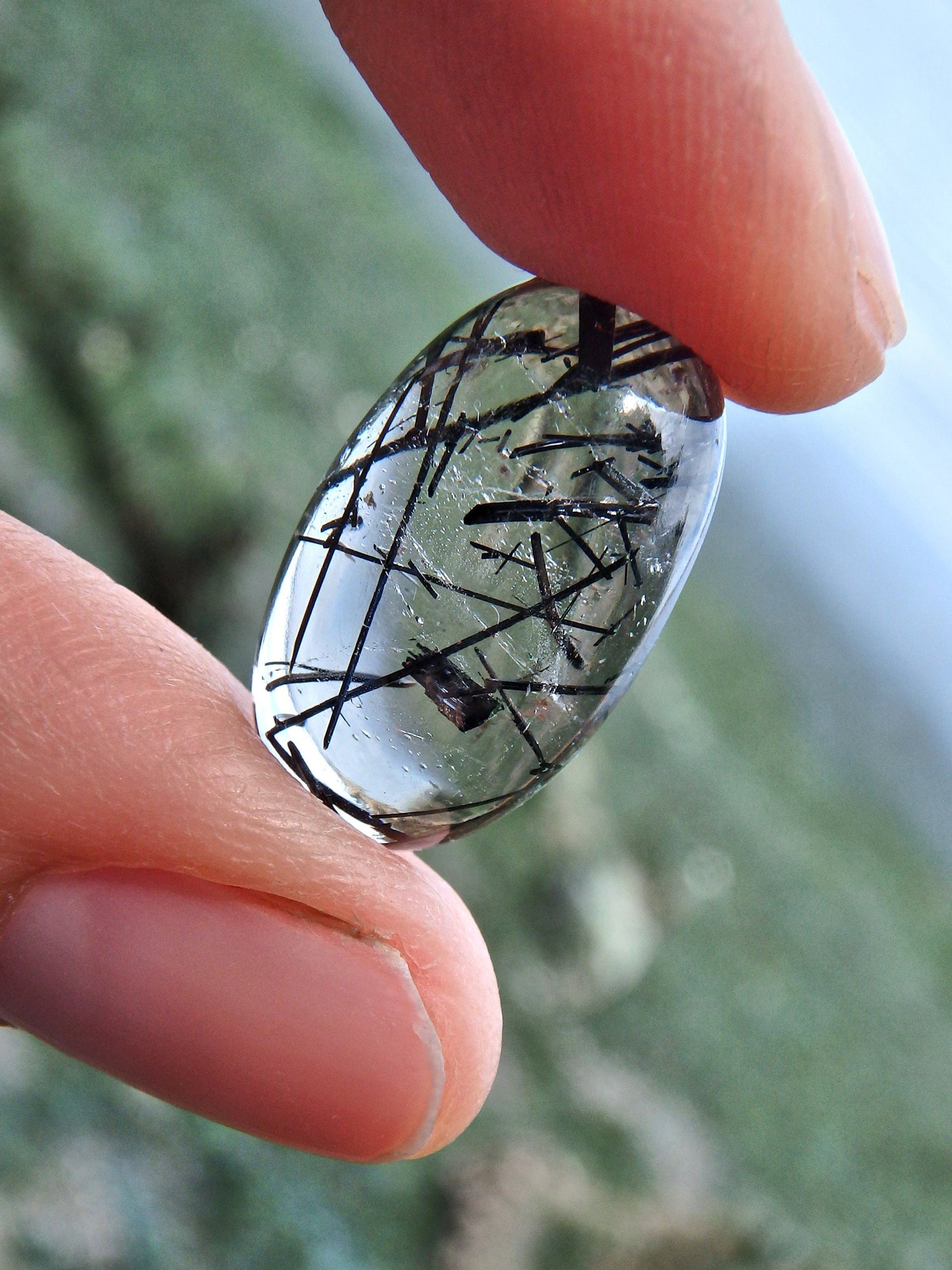  Brilliant Tourmalated Quartz Cabochon in Collectors Box (Perfect to Make Jewelry)