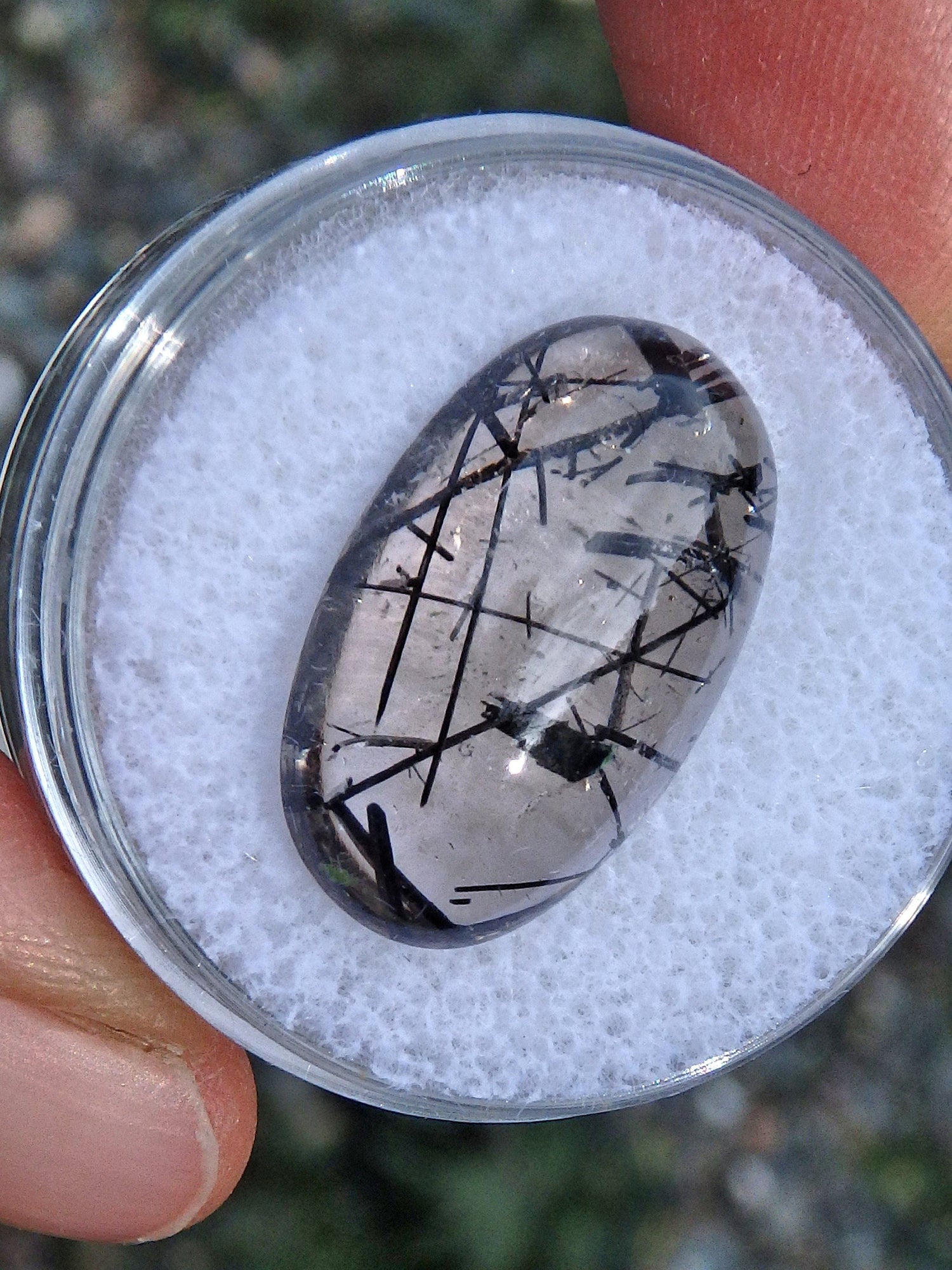  Brilliant Tourmalated Quartz Cabochon in Collectors Box (Perfect to Make Jewelry)