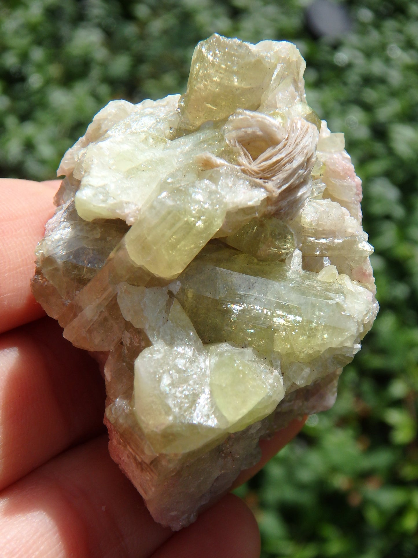 Large Lime Green Points Lavender Inclusions & Caves Vesuvanite From Quebec, Canada - Earth Family Crystals