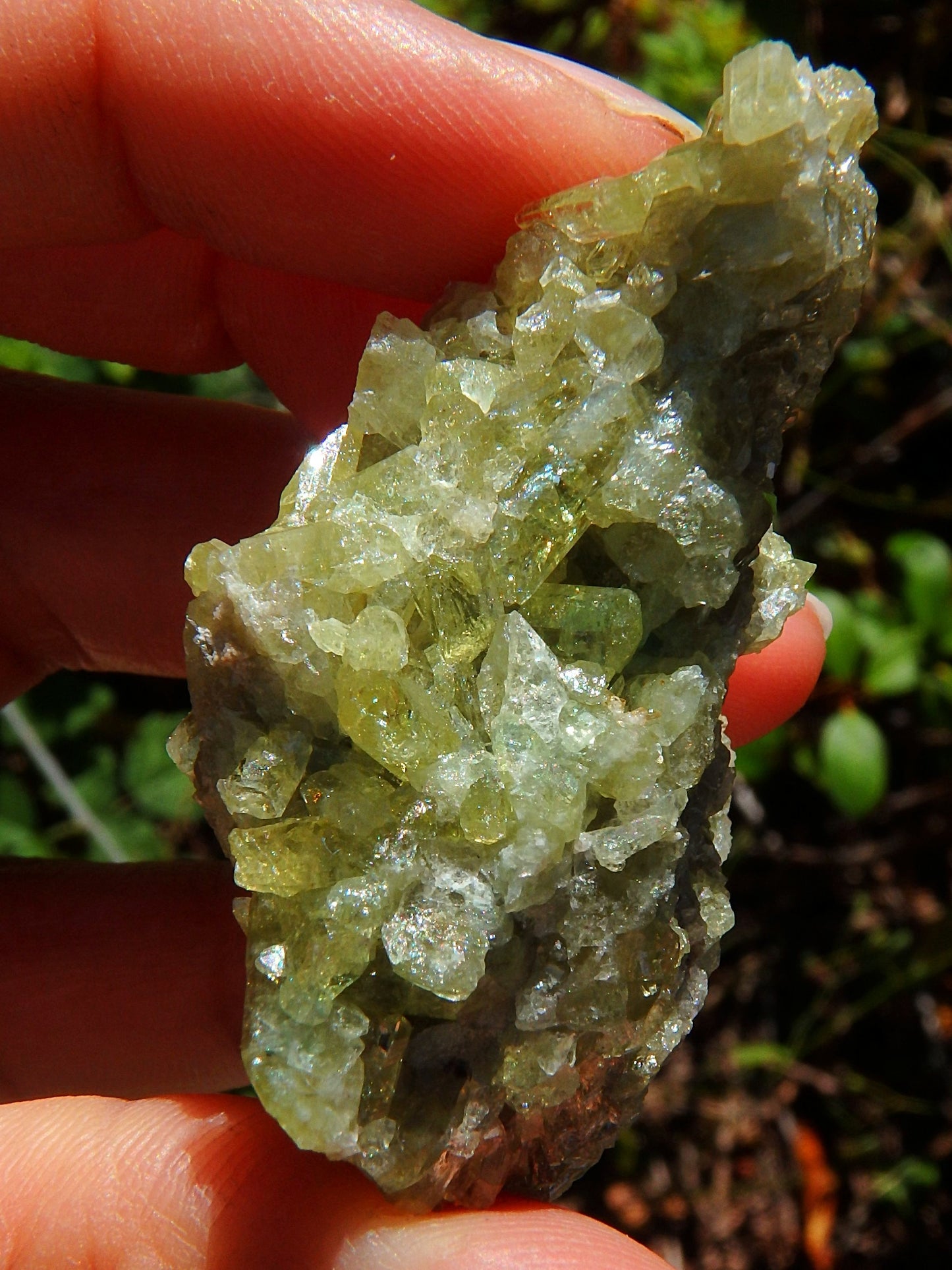 Sparkling Electric Green Vesuvanite Natural Cluster From Quebec, Canada - Metiz Tier Price