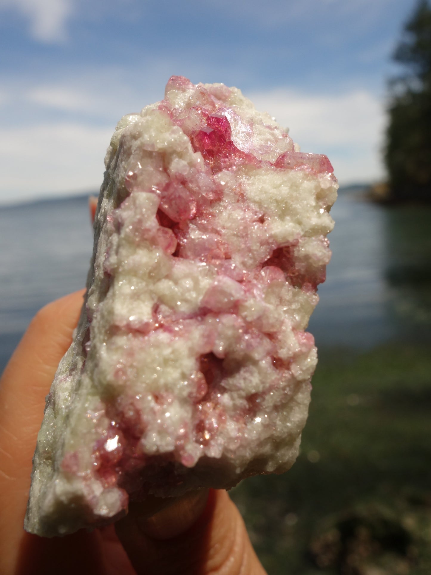 Strawberry Pink Gemmy Crystals Vesuvanite Cluster From Quebec, Canada - Metiz Tier Price