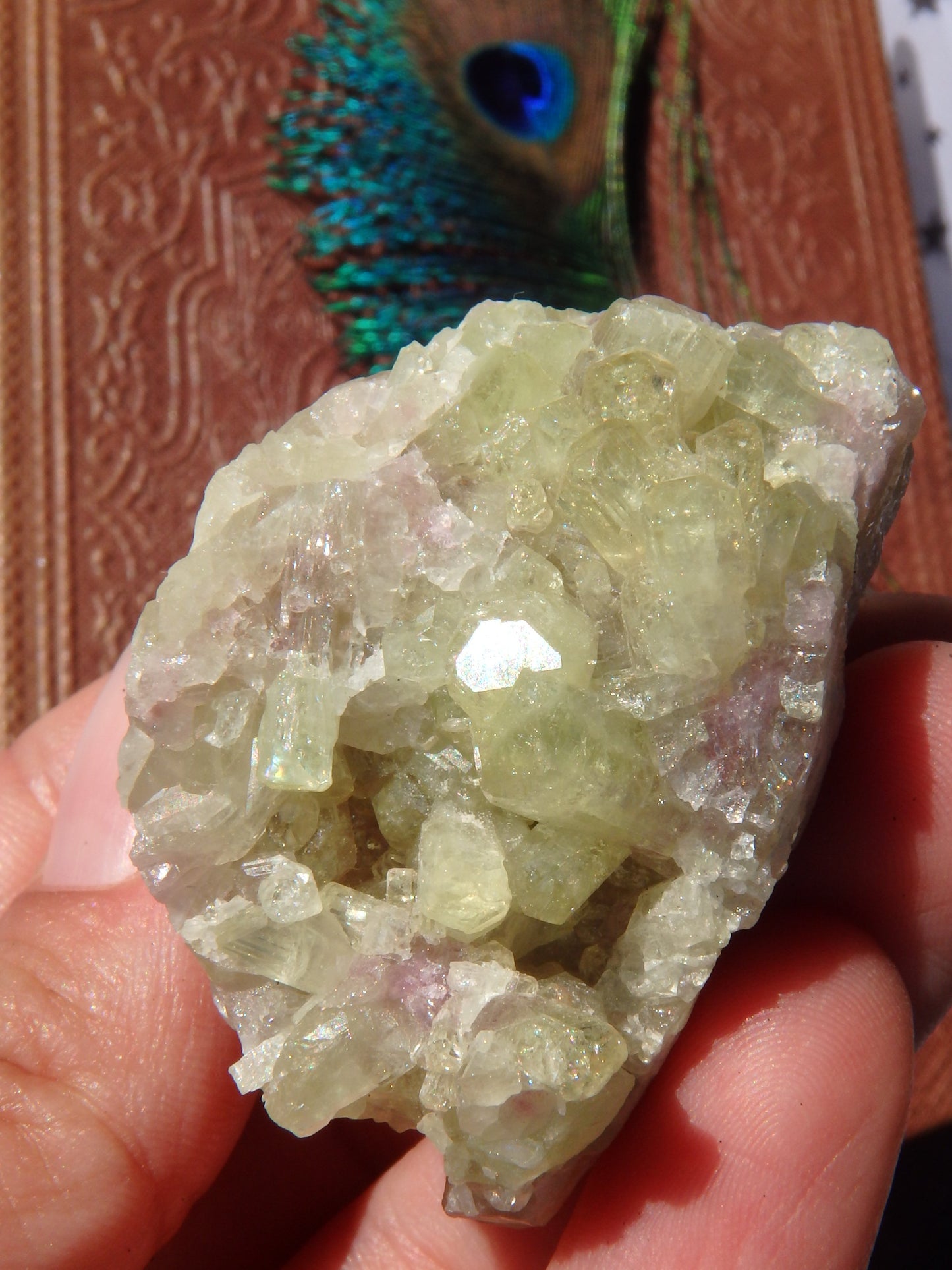 Shiny Green Vesuvanite Natural Cluster From Quebec, Canada - Metiz Tier Price