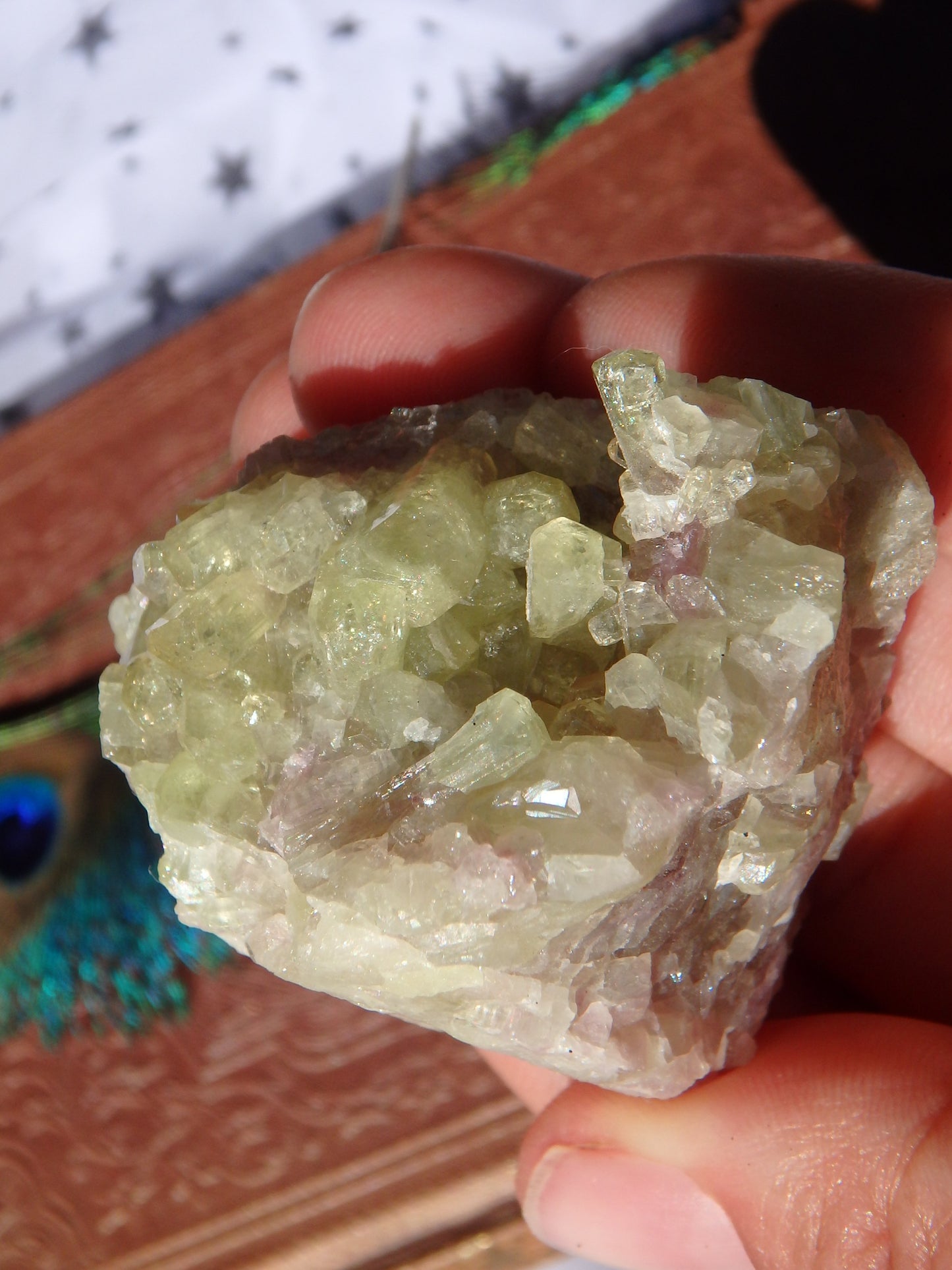 Shiny Green Vesuvanite Natural Cluster From Quebec, Canada - Metiz Tier Price
