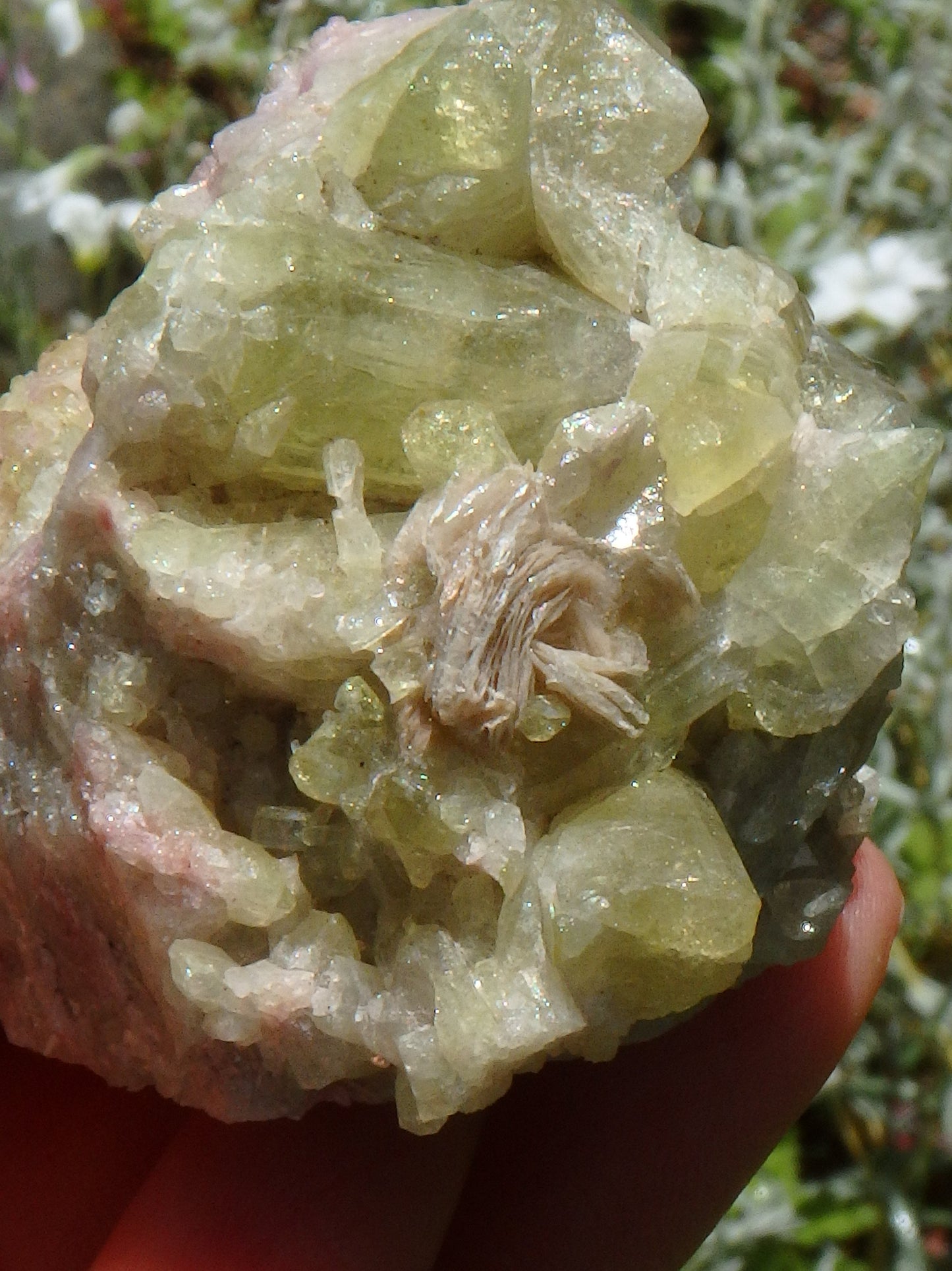 Large Lime Green Points Lavender Inclusions & Caves Vesuvanite From Quebec, Canada - Earth Family Crystals